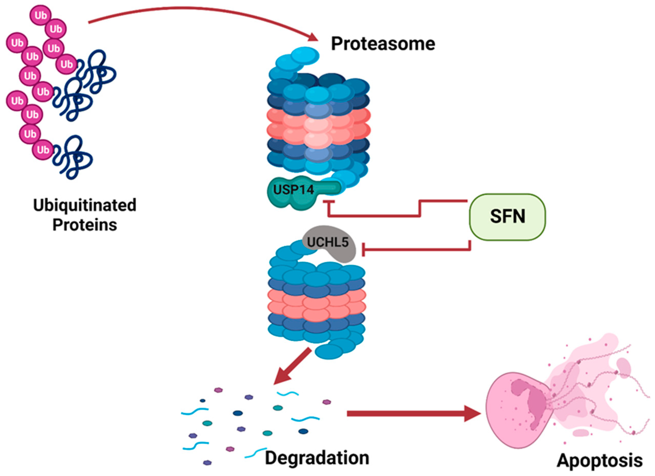 Ijms 24 06979 g003 Ijms 24 06979 g003