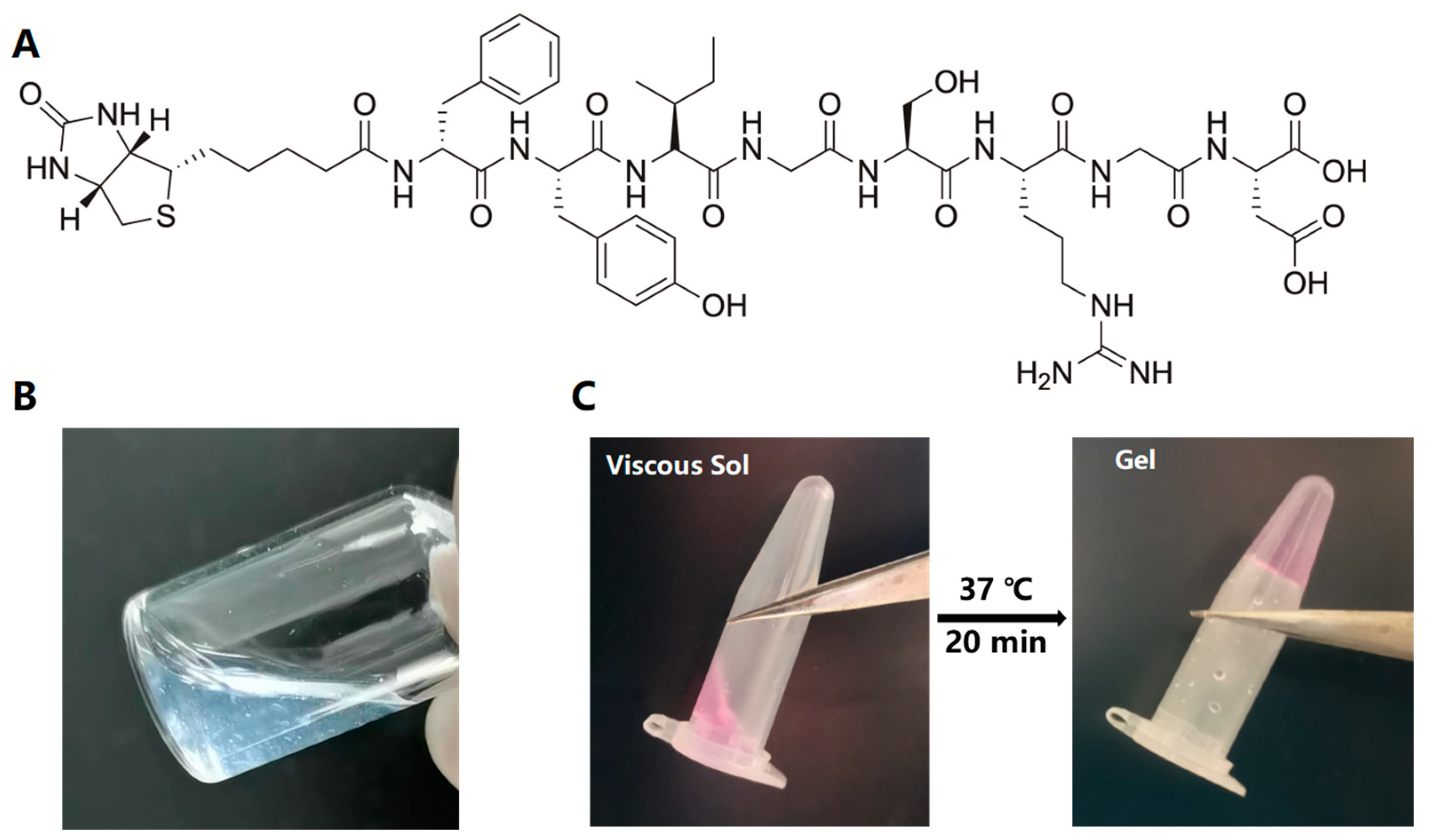 Ijms 24 06981 g004 Ijms 24 06981 g004