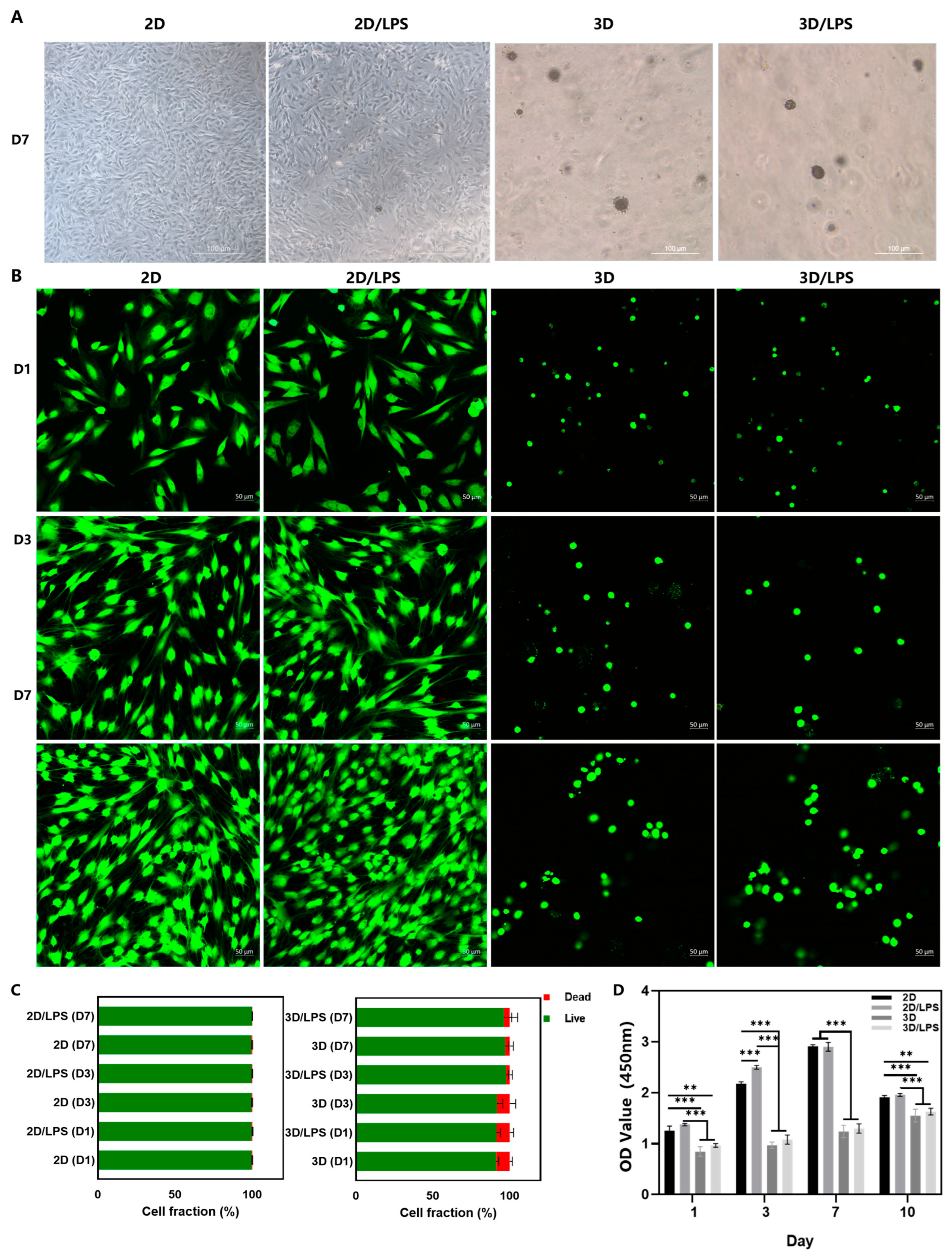 Ijms 24 06981 g005 Ijms 24 06981 g005