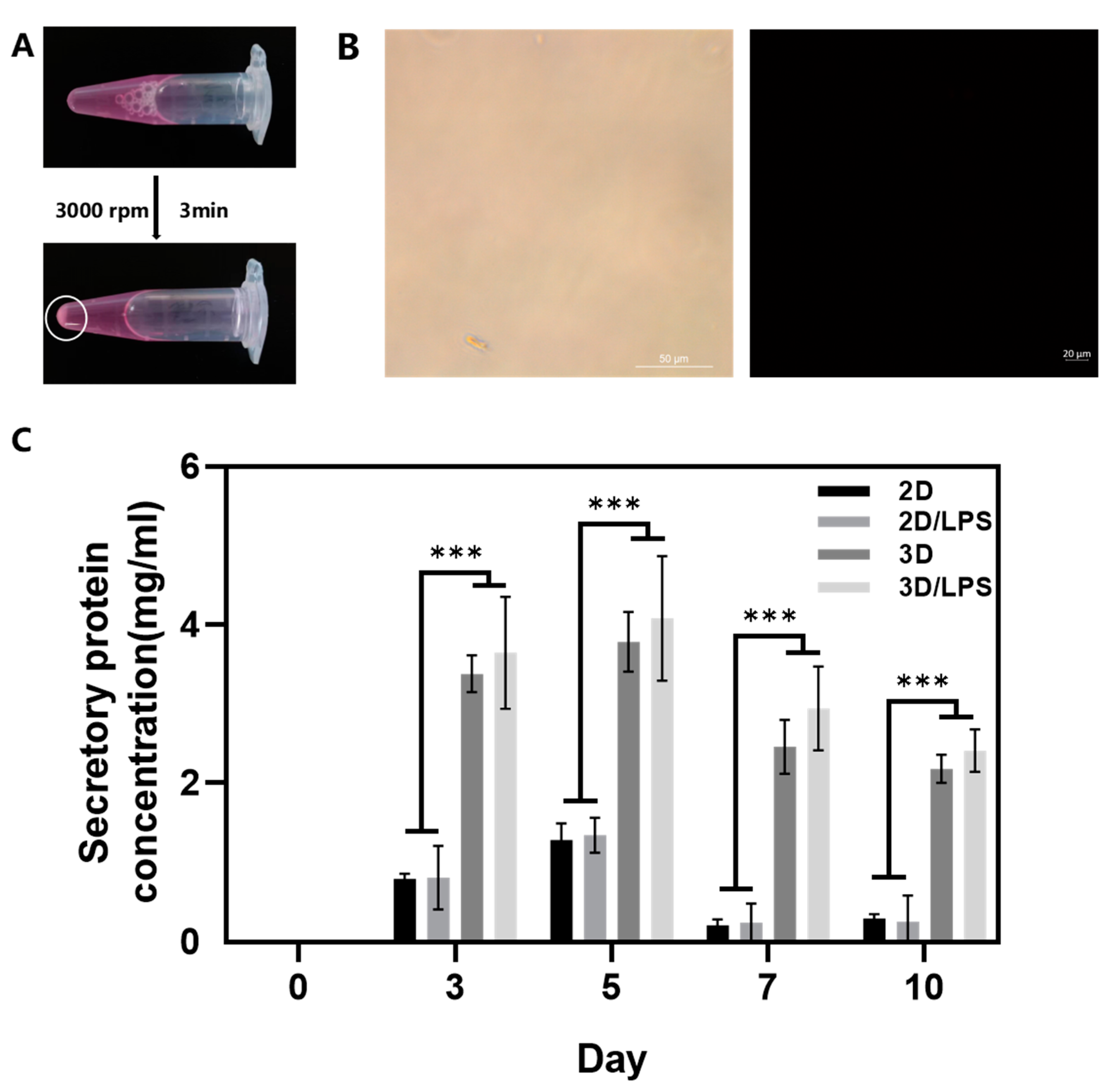 Ijms 24 06981 g006 Ijms 24 06981 g006