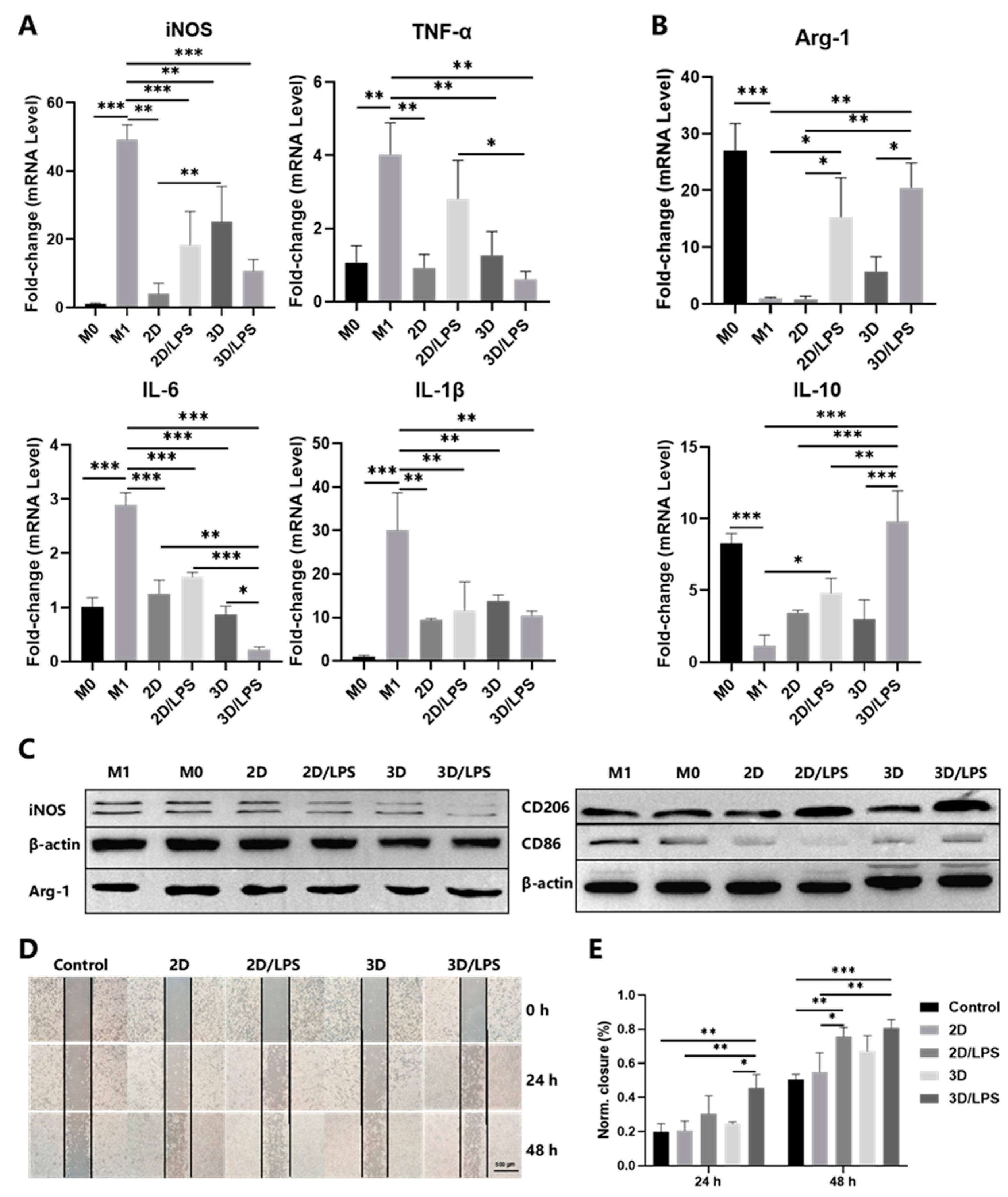 Ijms 24 06981 g007 Ijms 24 06981 g007