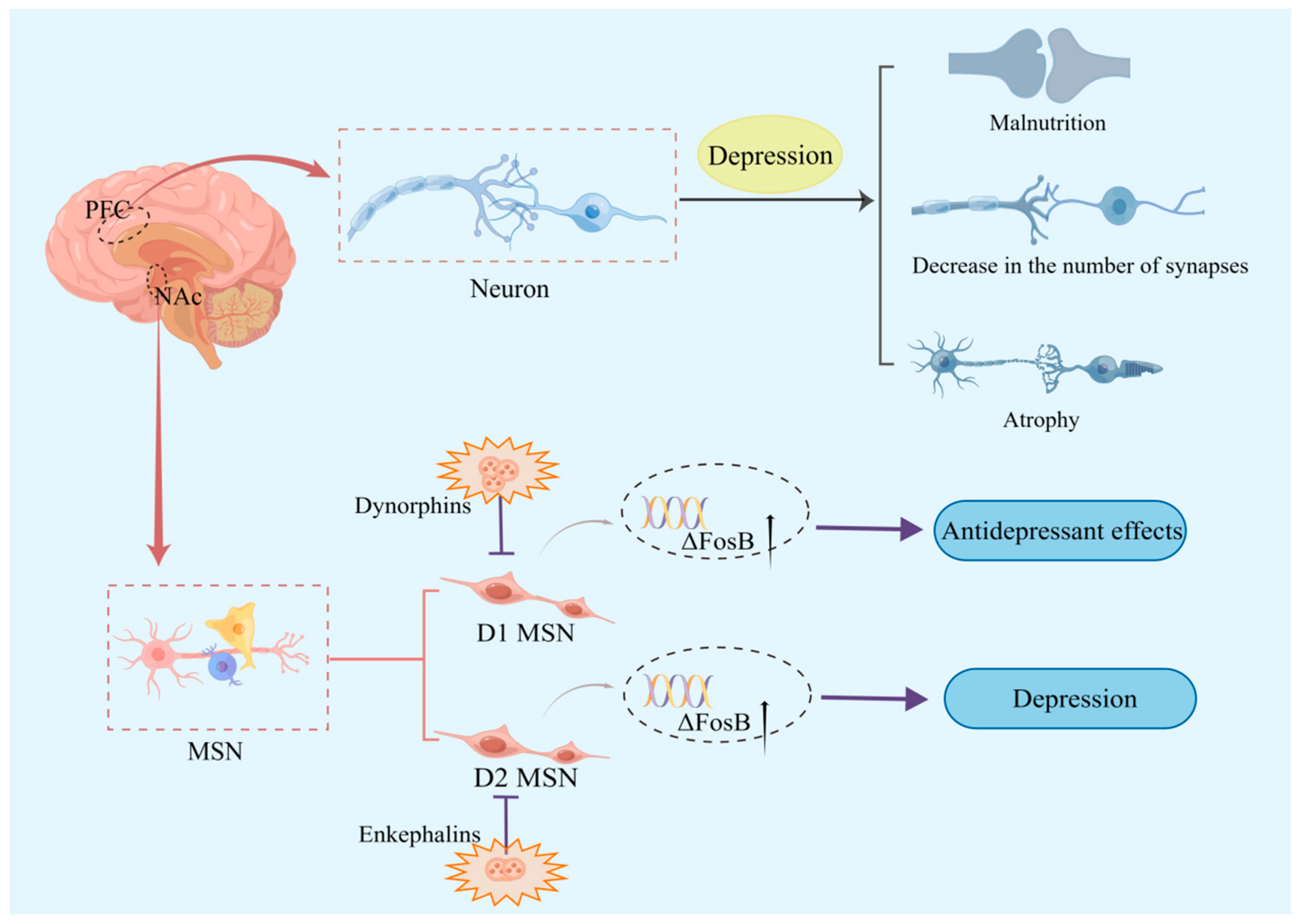 Ijms 24 06985 g001 Ijms 24 06985 g001