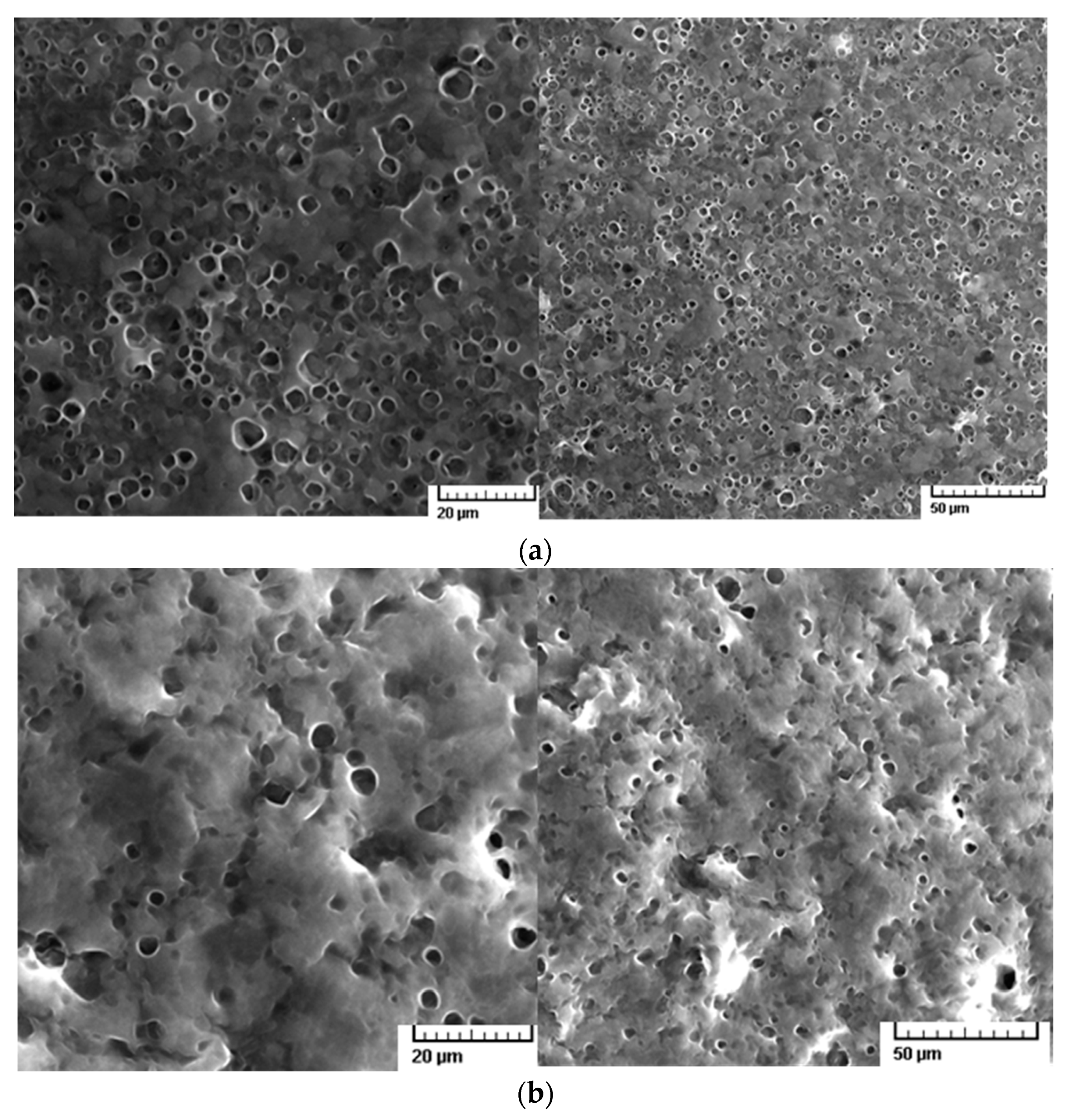 Ijms 24 07004 g002 Ijms 24 07004 g002