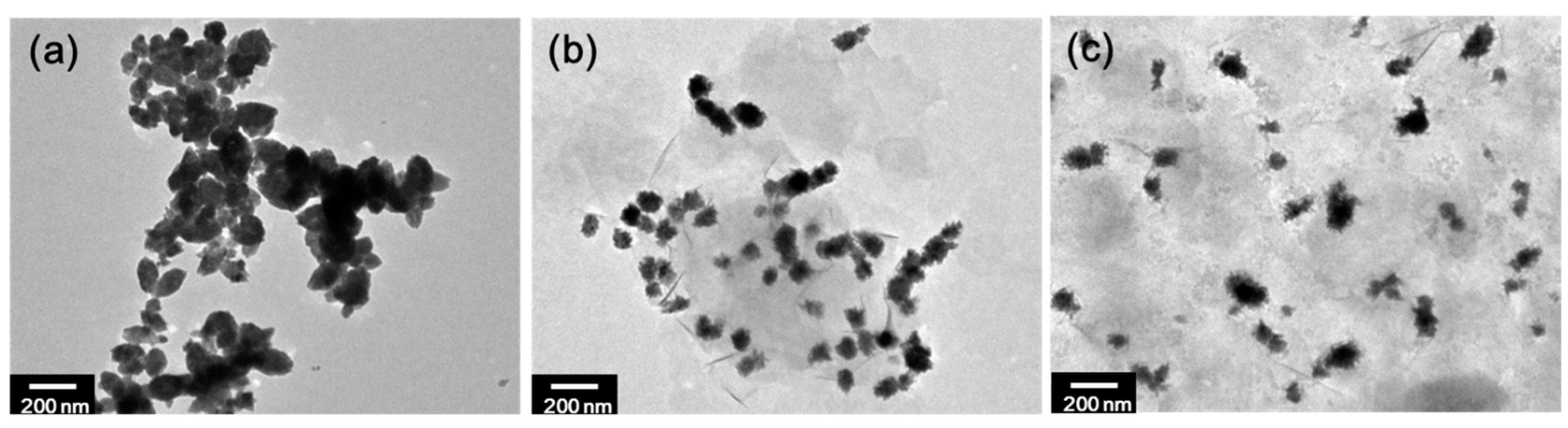 Ijms 24 07024 g003 Ijms 24 07024 g003