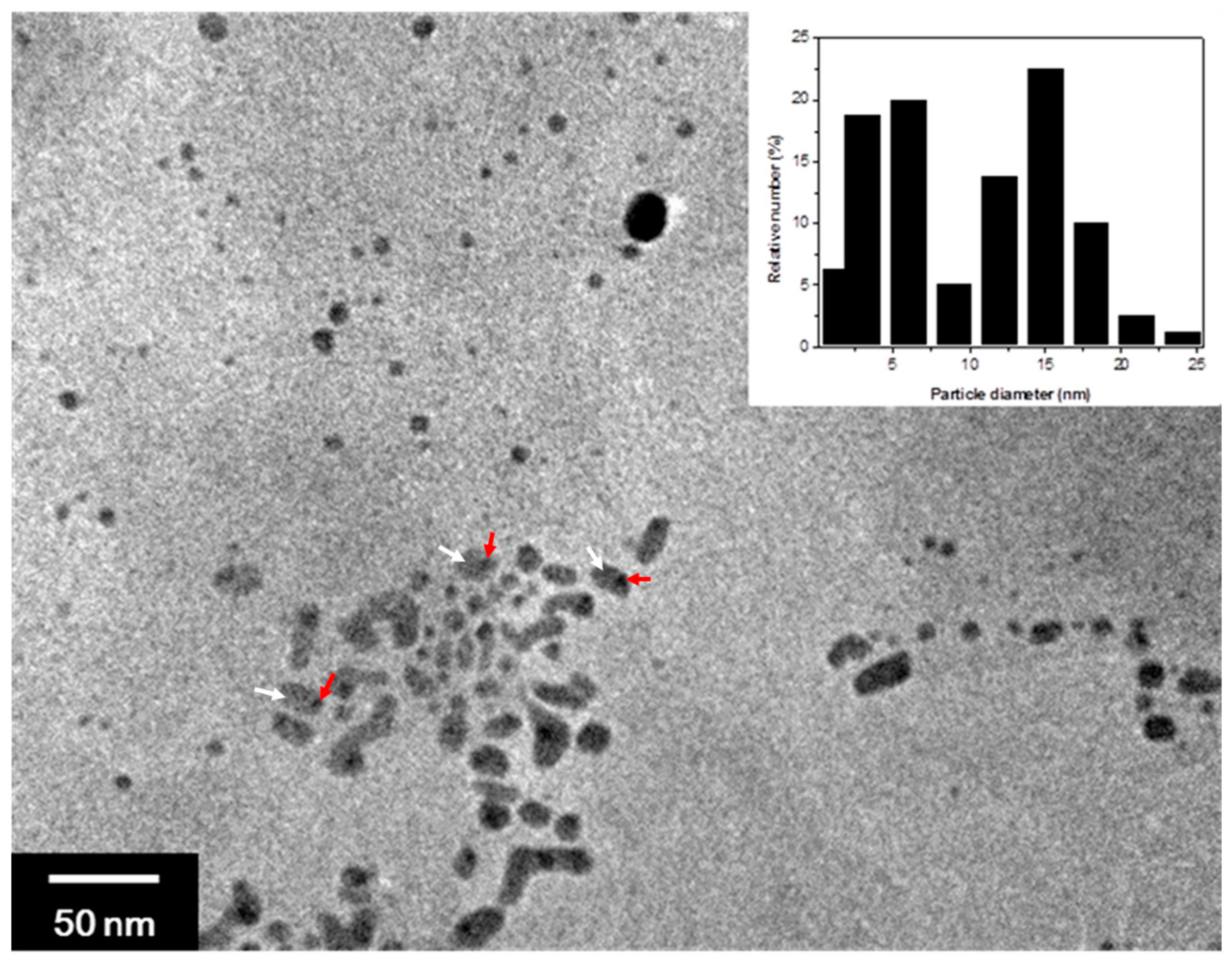 Ijms 24 07024 g006 Ijms 24 07024 g006