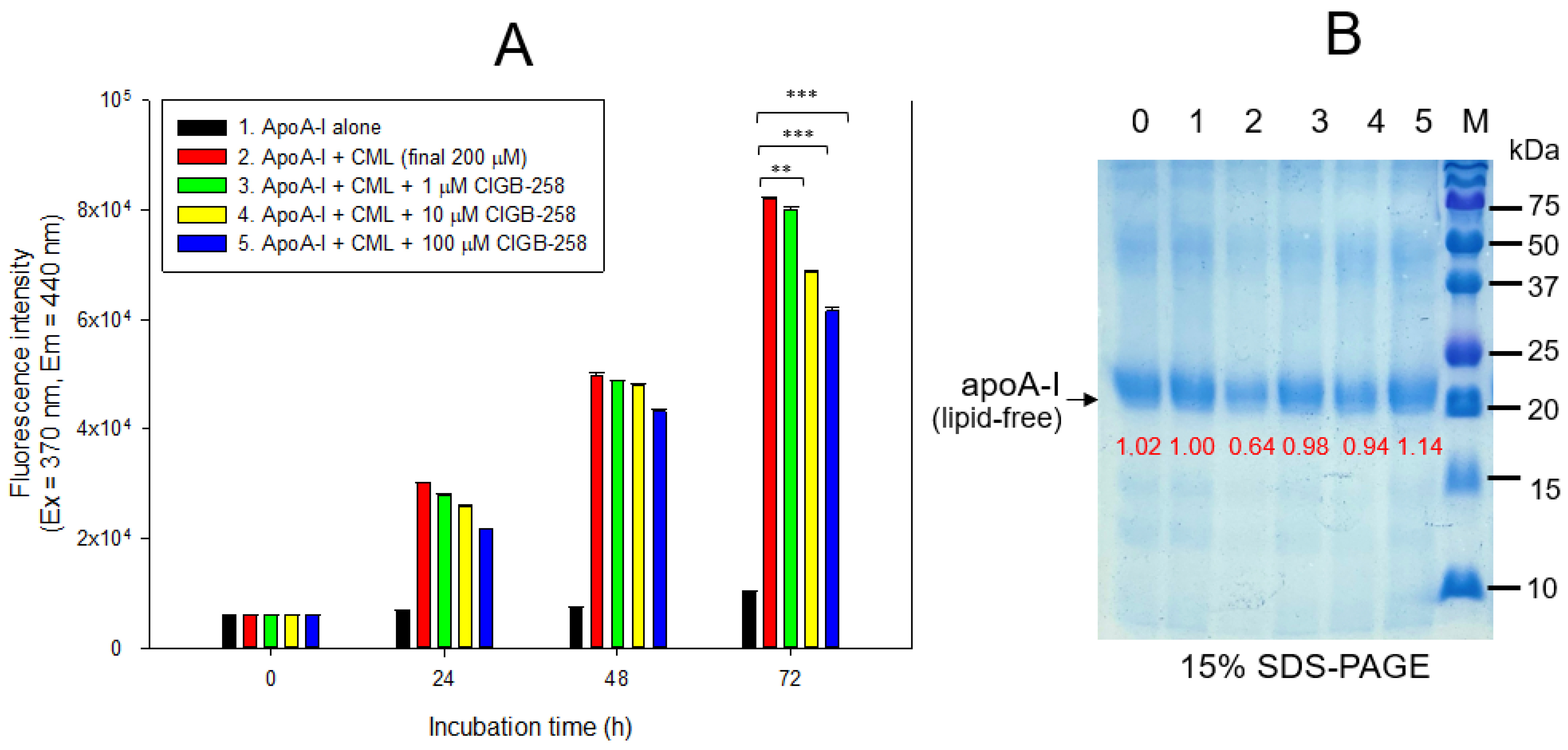 Ijms 24 07044 g002 Ijms 24 07044 g002