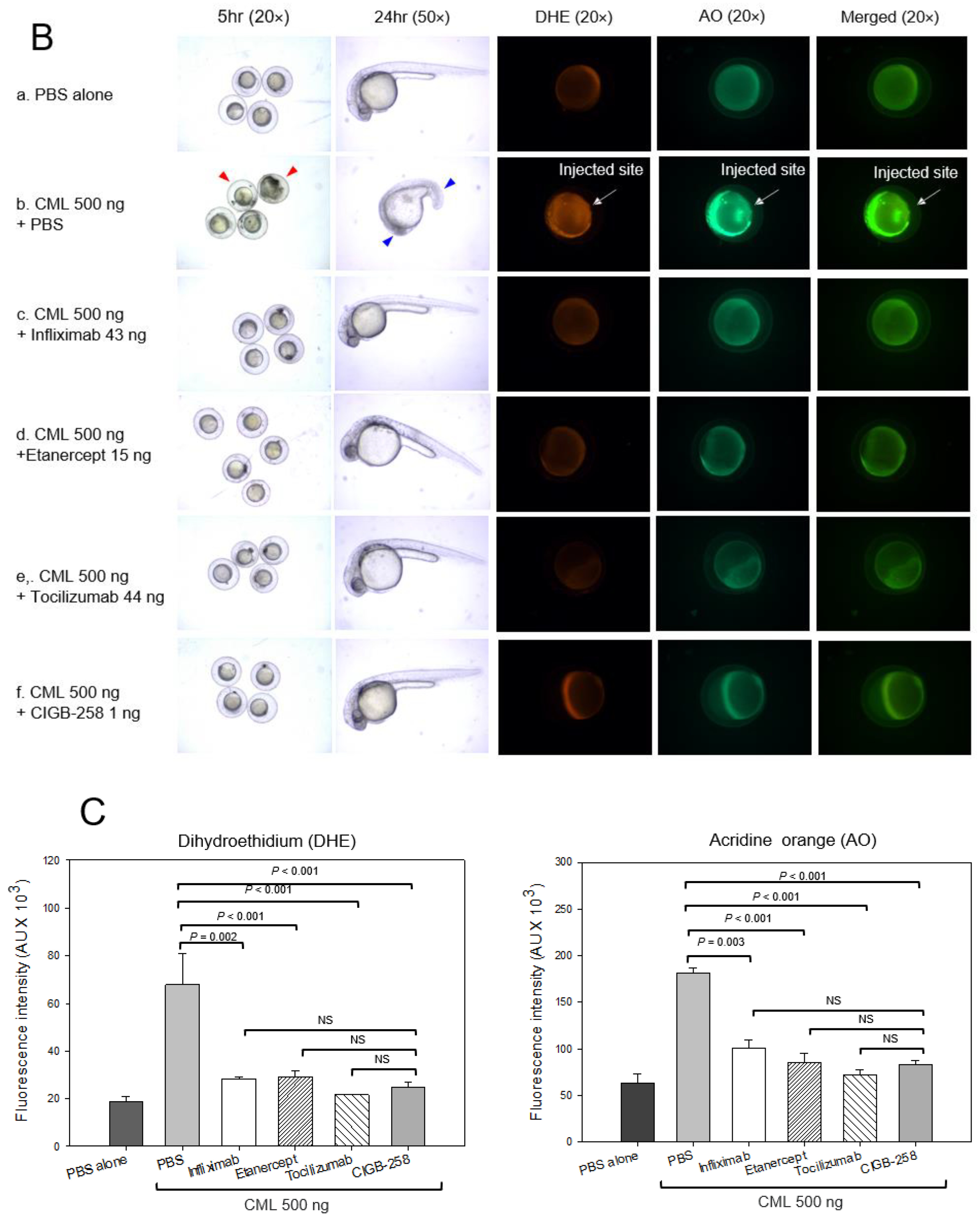 Ijms 24 07044 g005b Ijms 24 07044 g005b