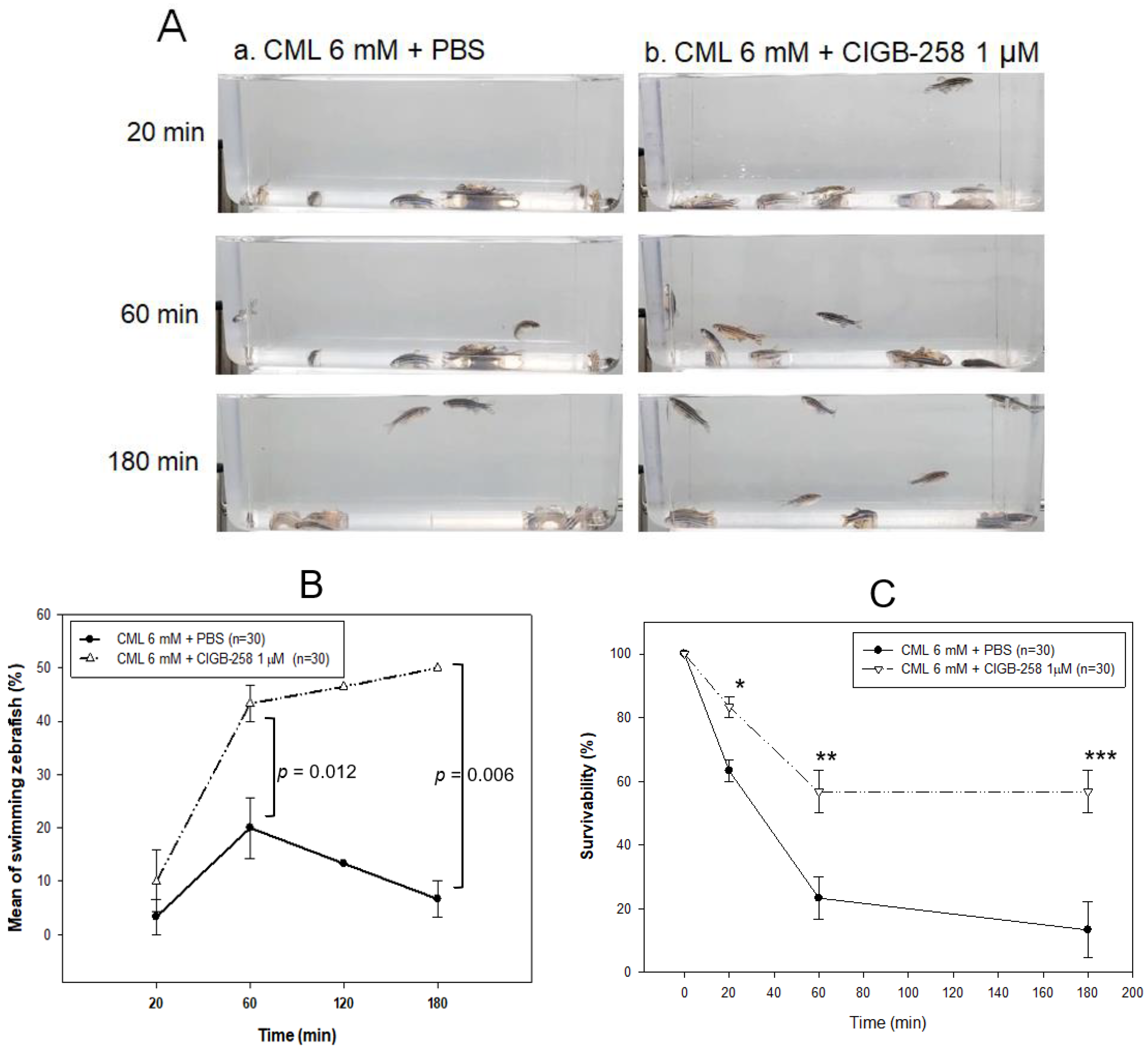 Ijms 24 07044 g006 Ijms 24 07044 g006