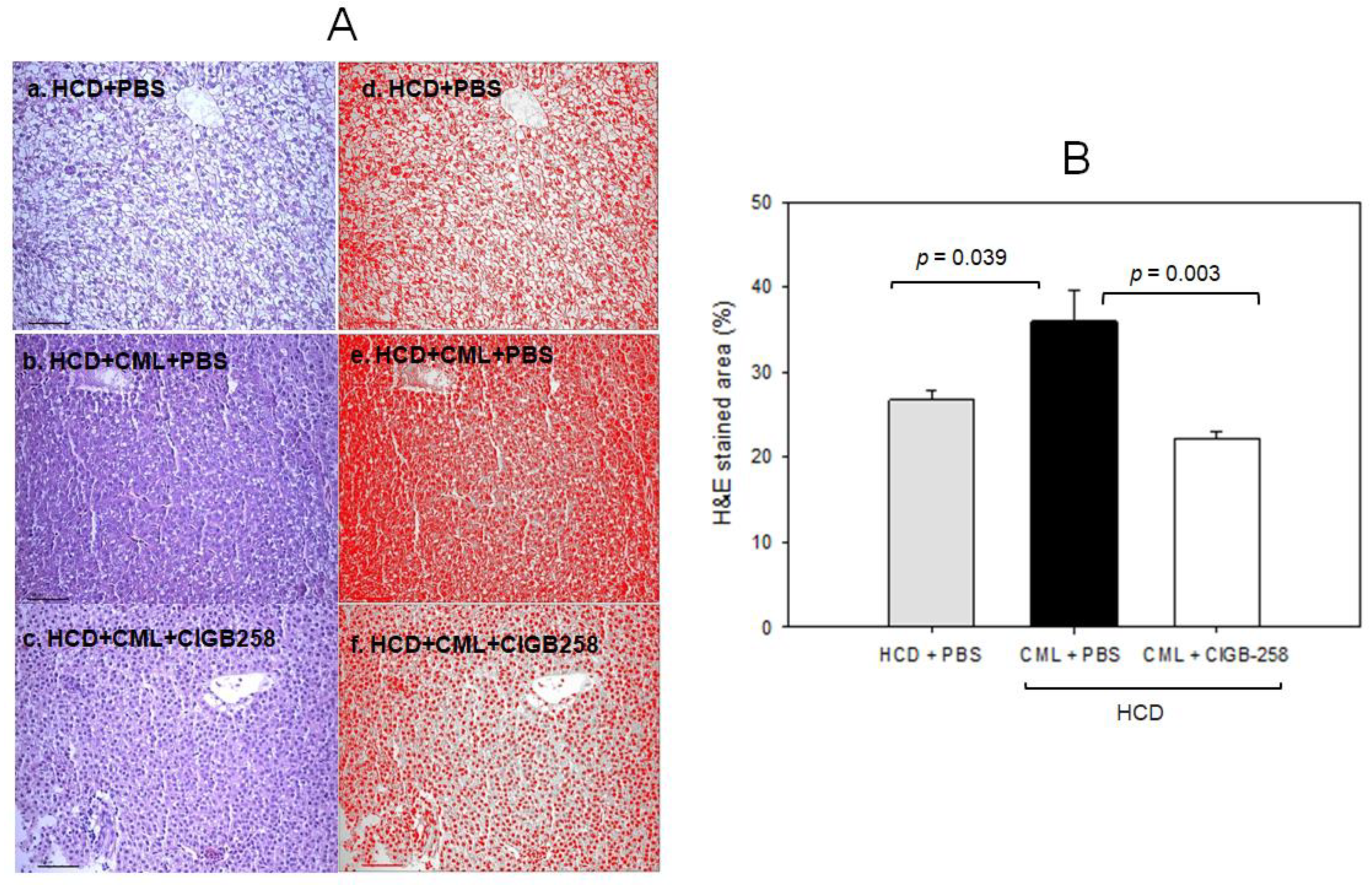 Ijms 24 07044 g007 Ijms 24 07044 g007