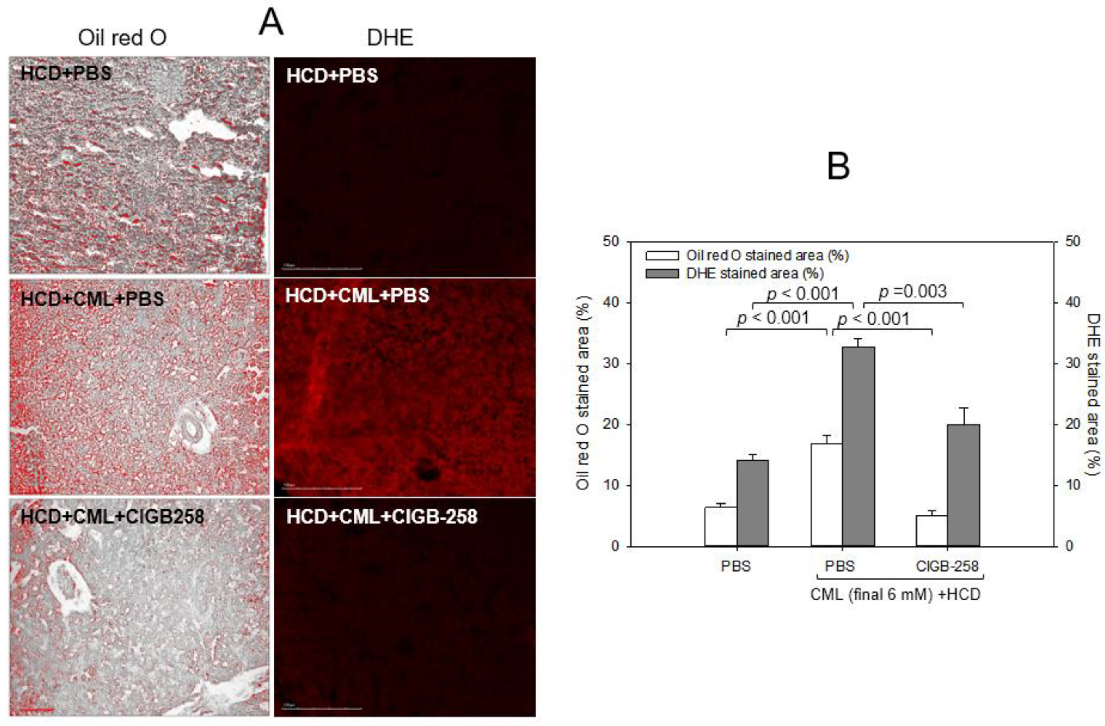 Ijms 24 07044 g008 Ijms 24 07044 g008