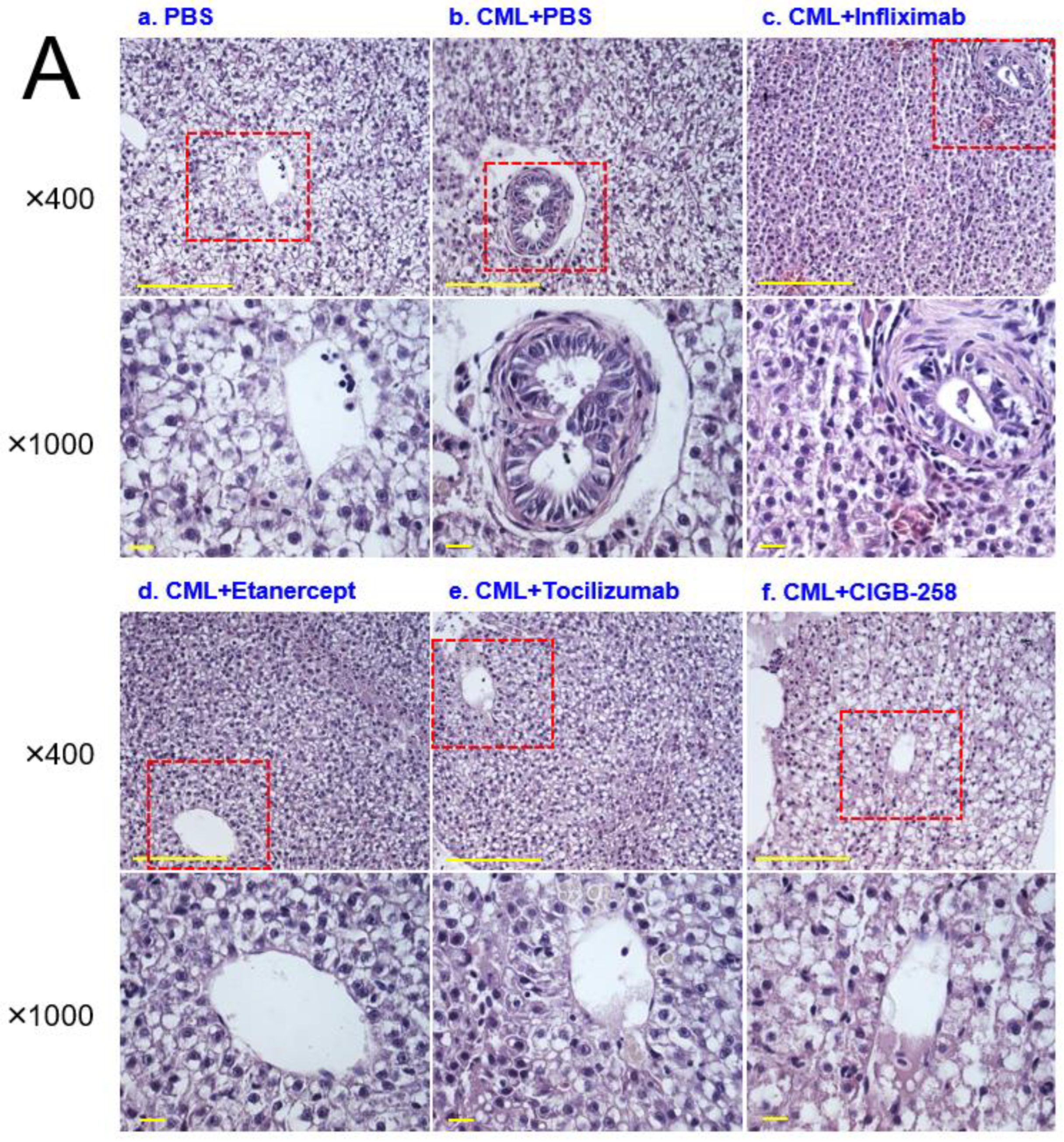Ijms 24 07044 g010a Ijms 24 07044 g010a
