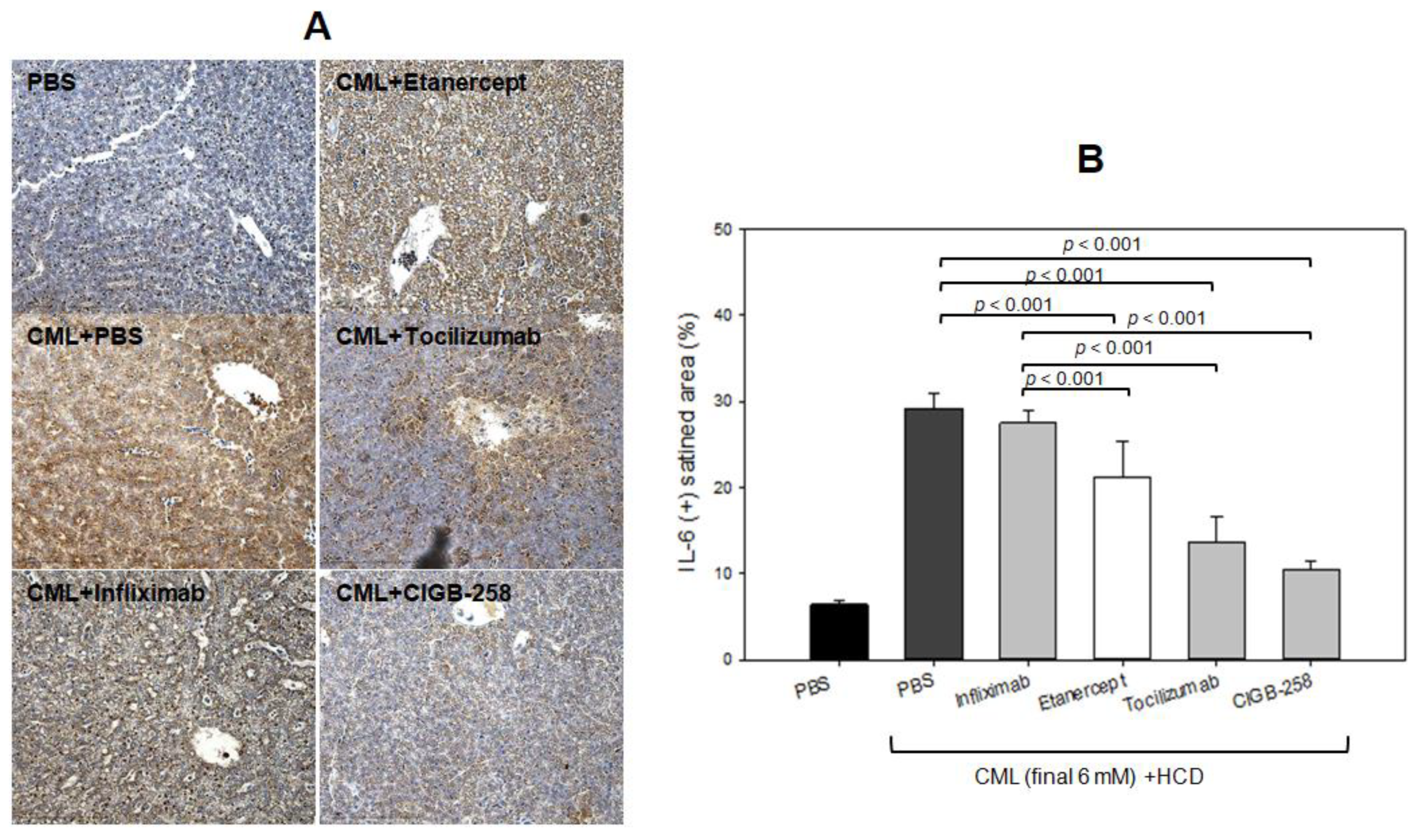 Ijms 24 07044 g012 Ijms 24 07044 g012