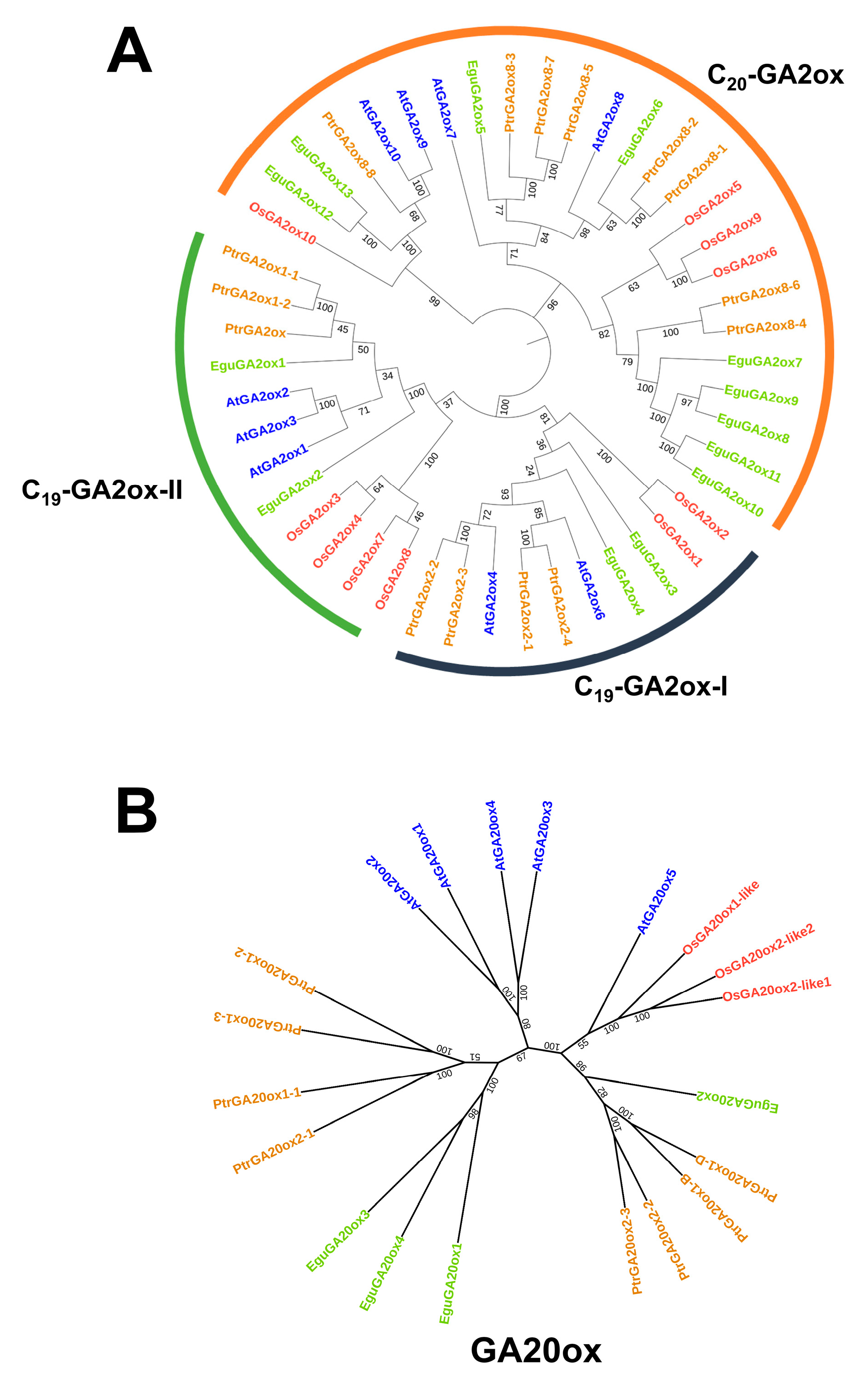 Ijms 24 07051 g003 Ijms 24 07051 g003