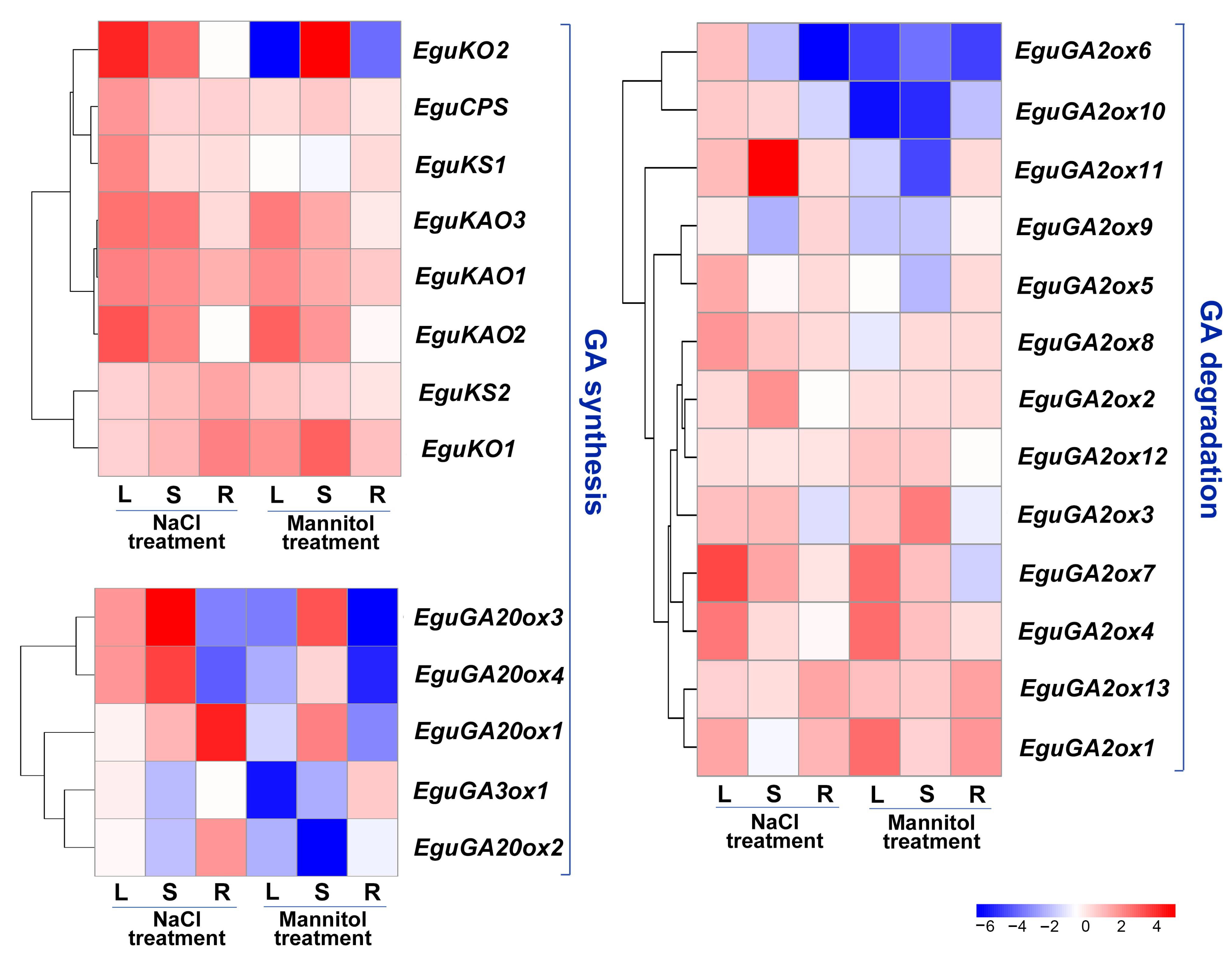 Ijms 24 07051 g005 Ijms 24 07051 g005