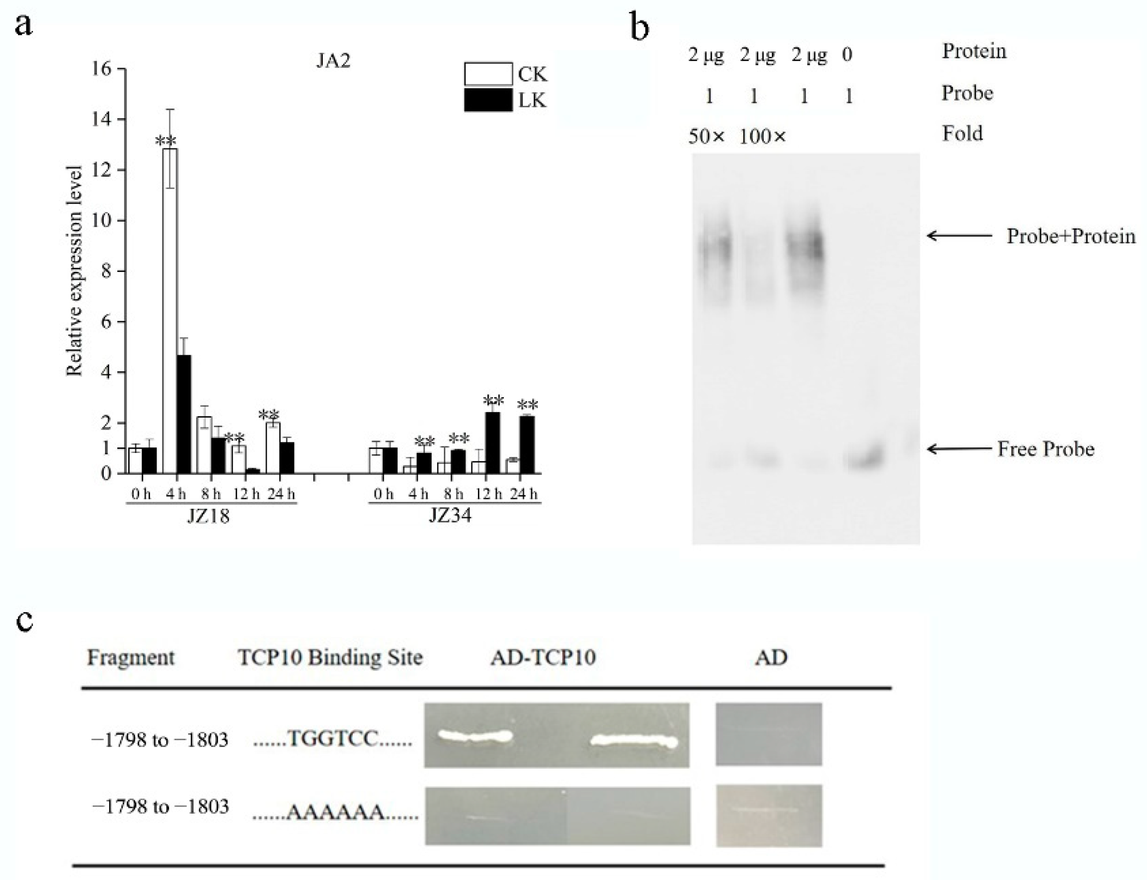 Ijms 24 07058 g004