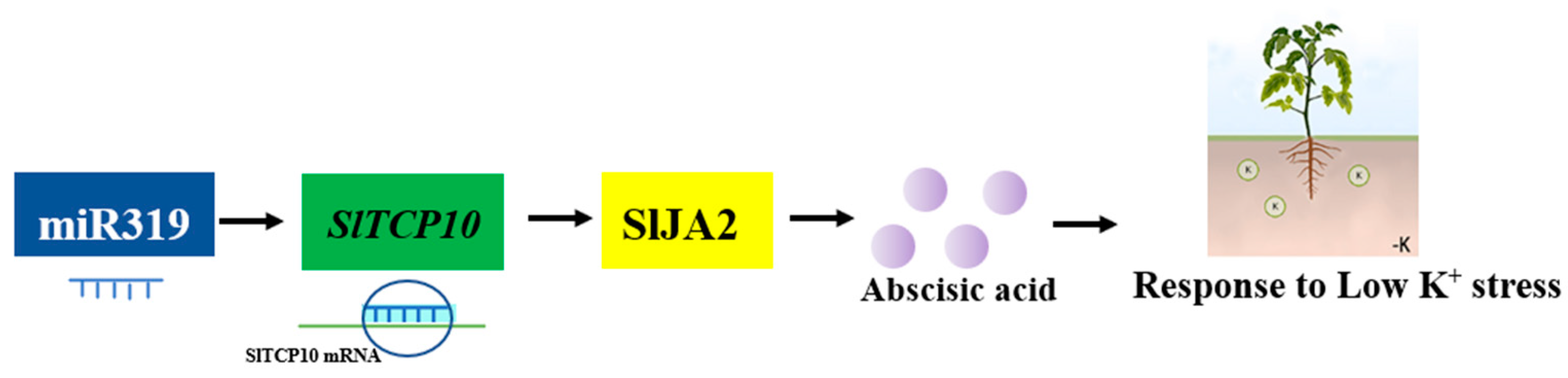 Ijms 24 07058 g007