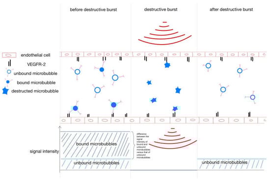 Ijms 24 07060 g0a1 Ijms 24 07060 g0a1