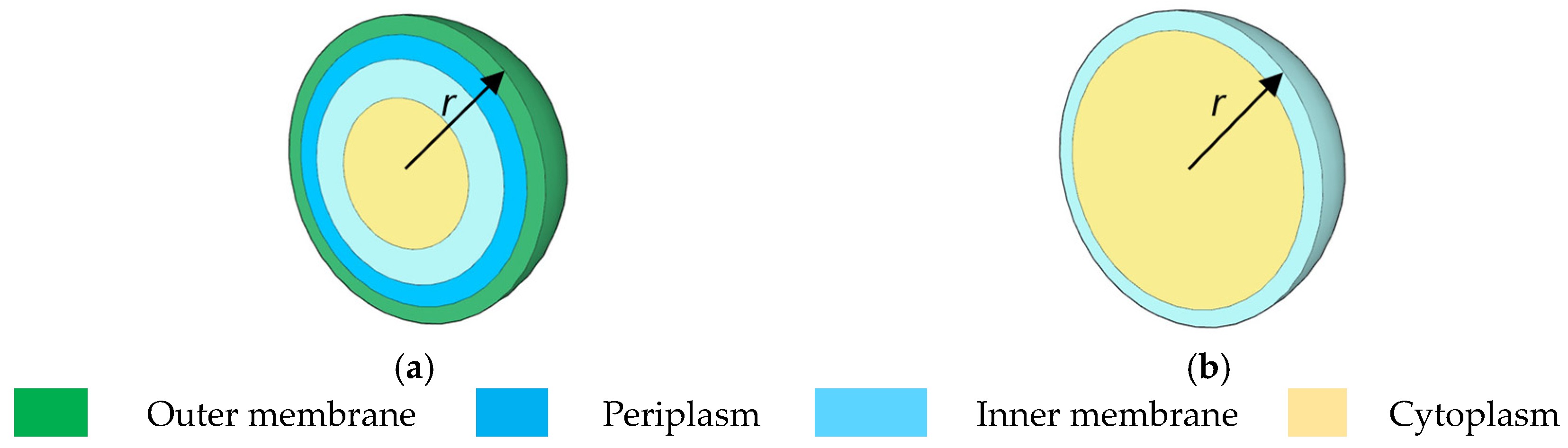 Ijms 24 07077 g001 Ijms 24 07077 g001