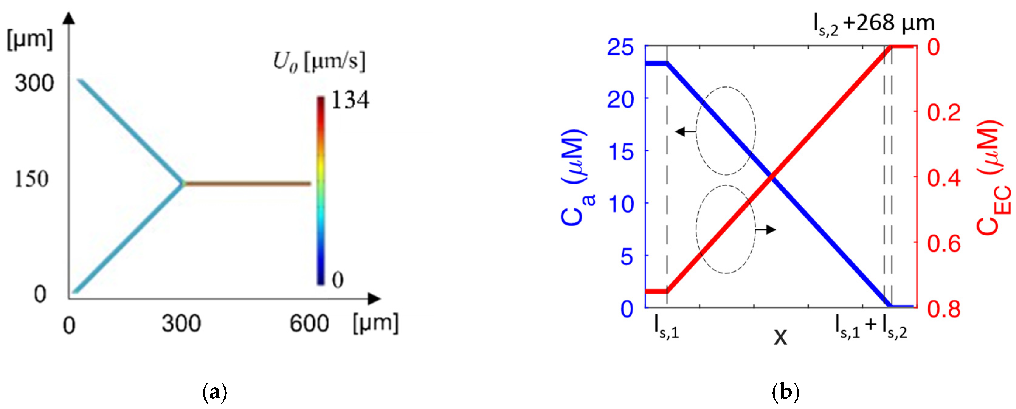 Ijms 24 07077 g003 Ijms 24 07077 g003