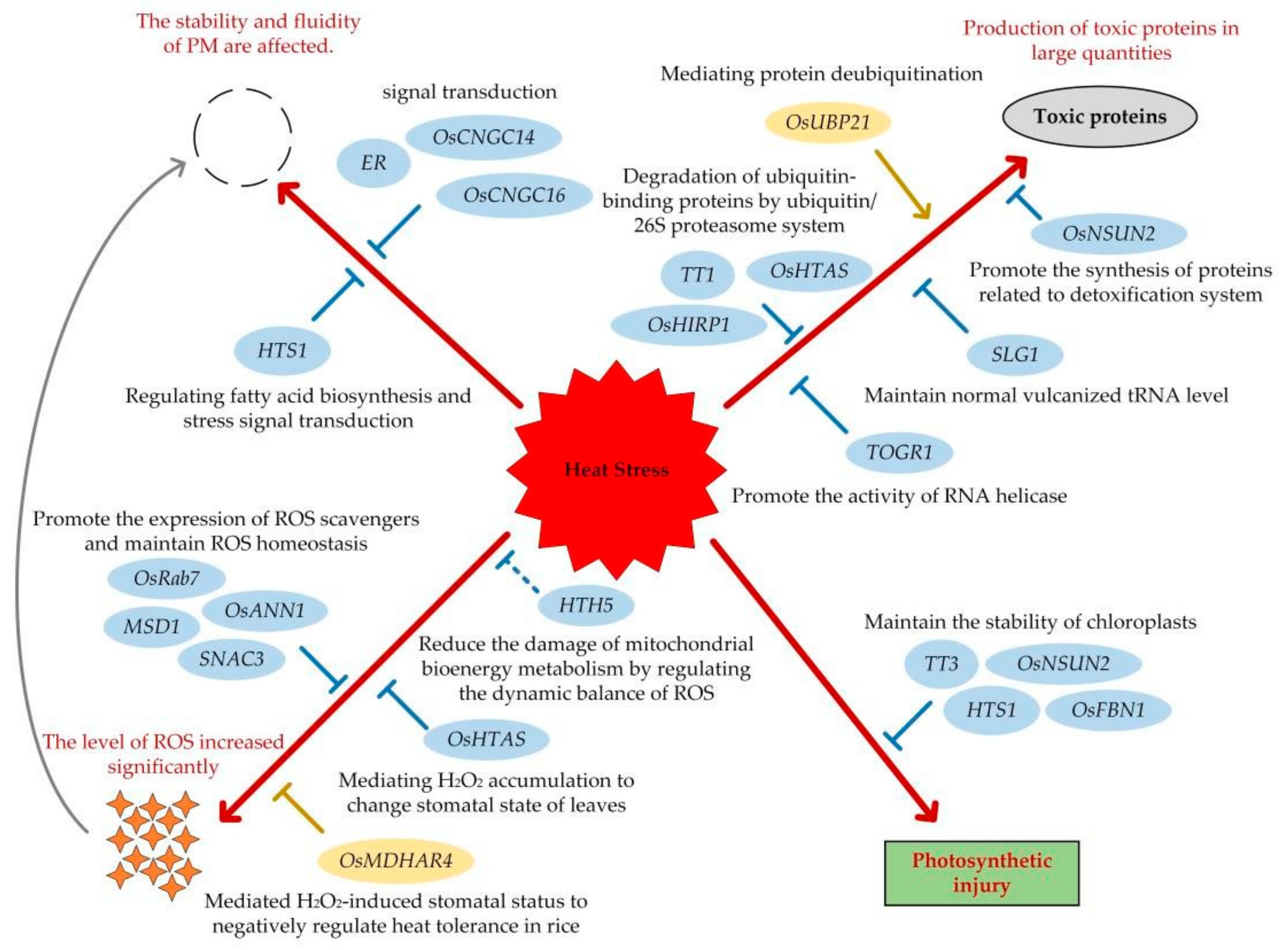 Ijms 24 07140 g001 Ijms 24 07140 g001