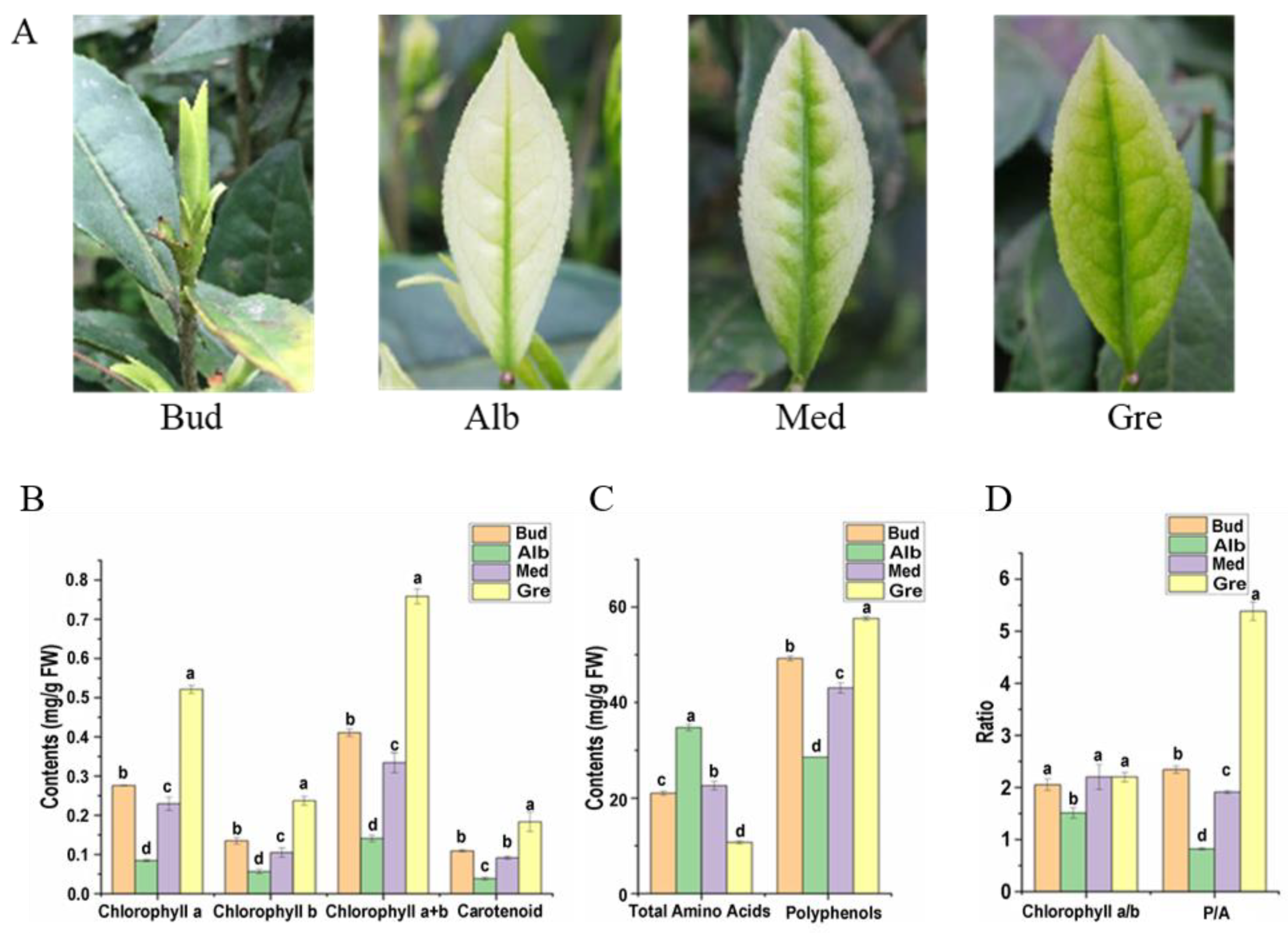 Ijms 24 07162 g001 Ijms 24 07162 g001