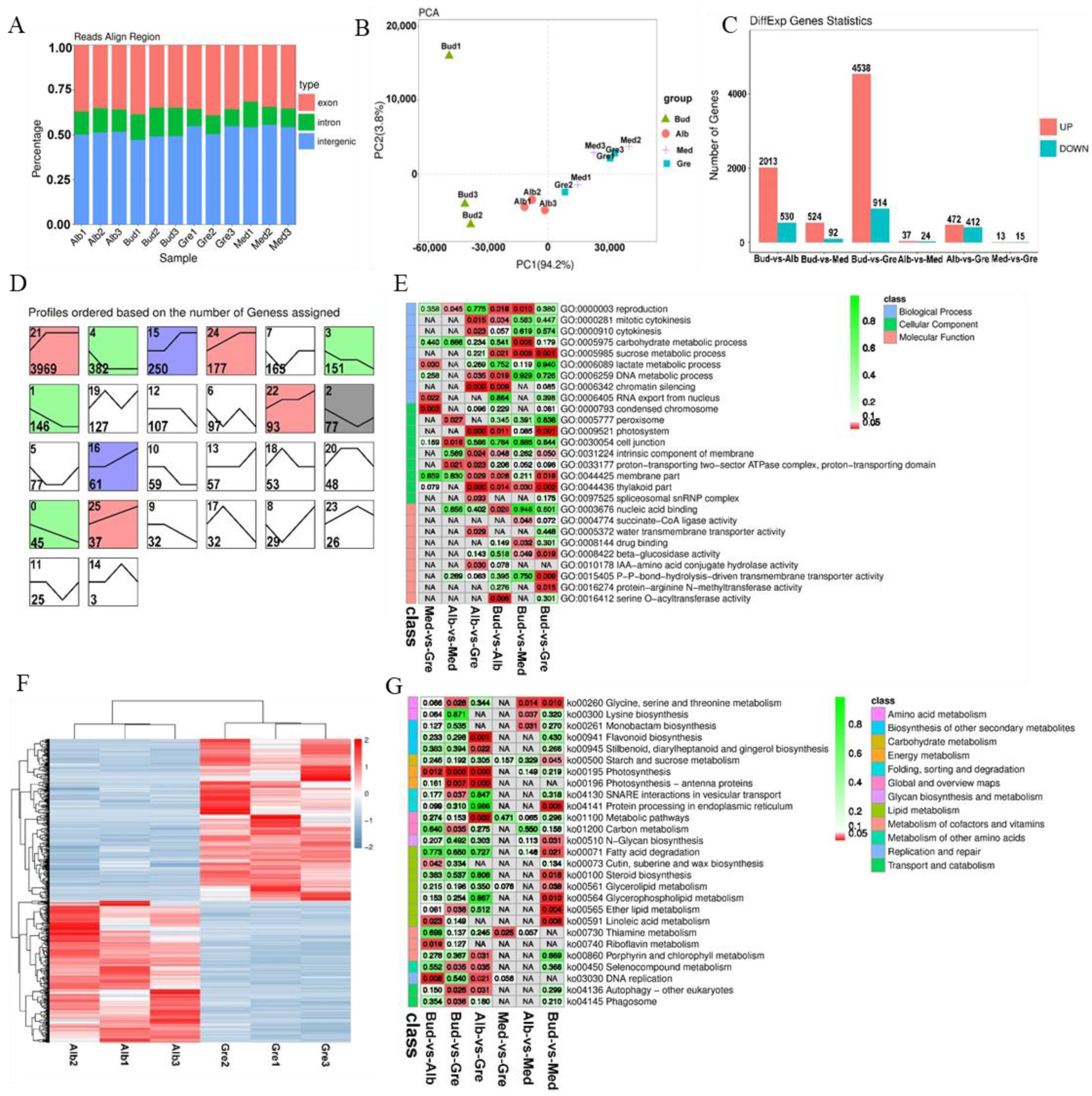 Ijms 24 07162 g002 Ijms 24 07162 g002