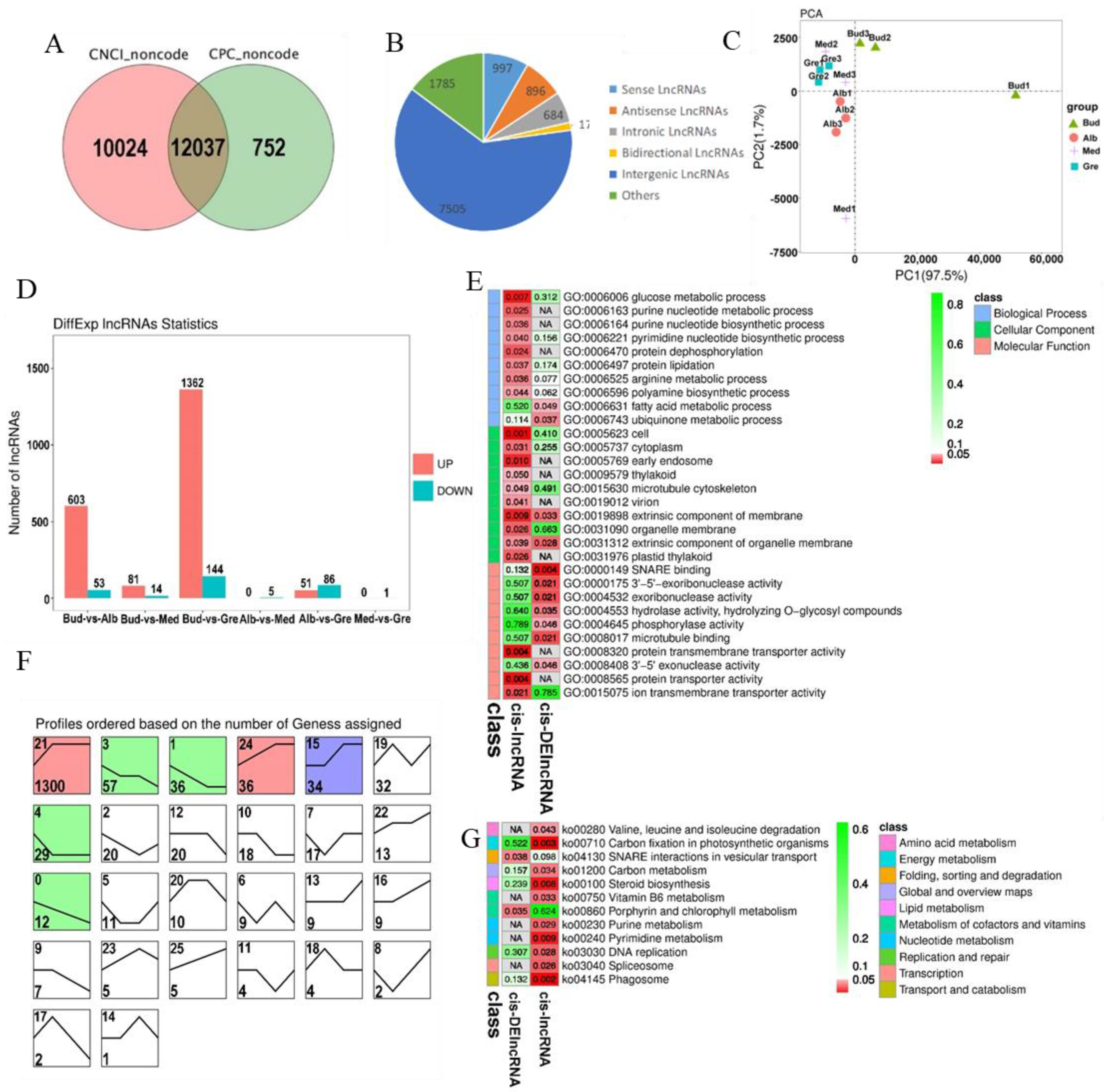 Ijms 24 07162 g003 Ijms 24 07162 g003