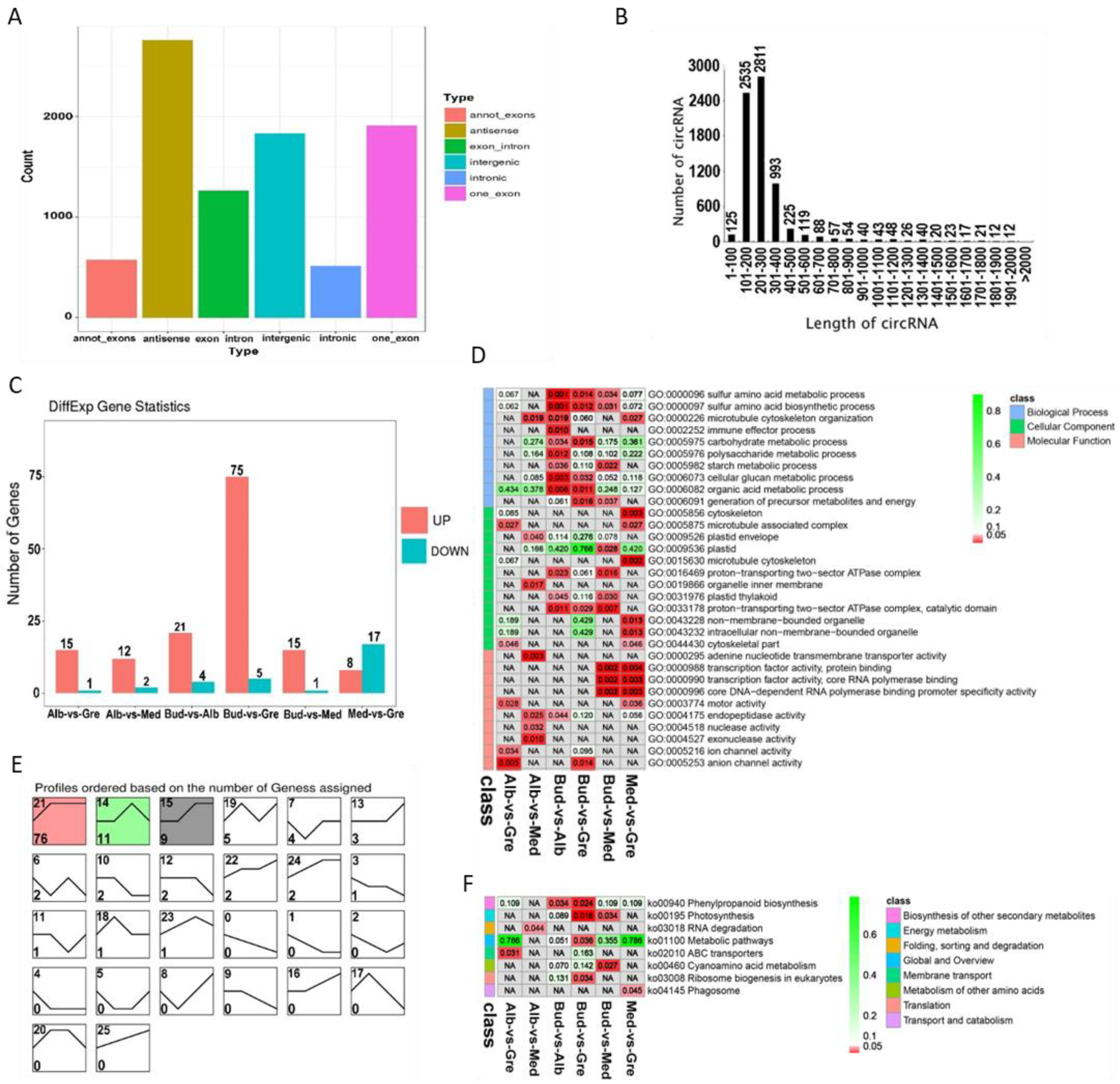 Ijms 24 07162 g004 Ijms 24 07162 g004