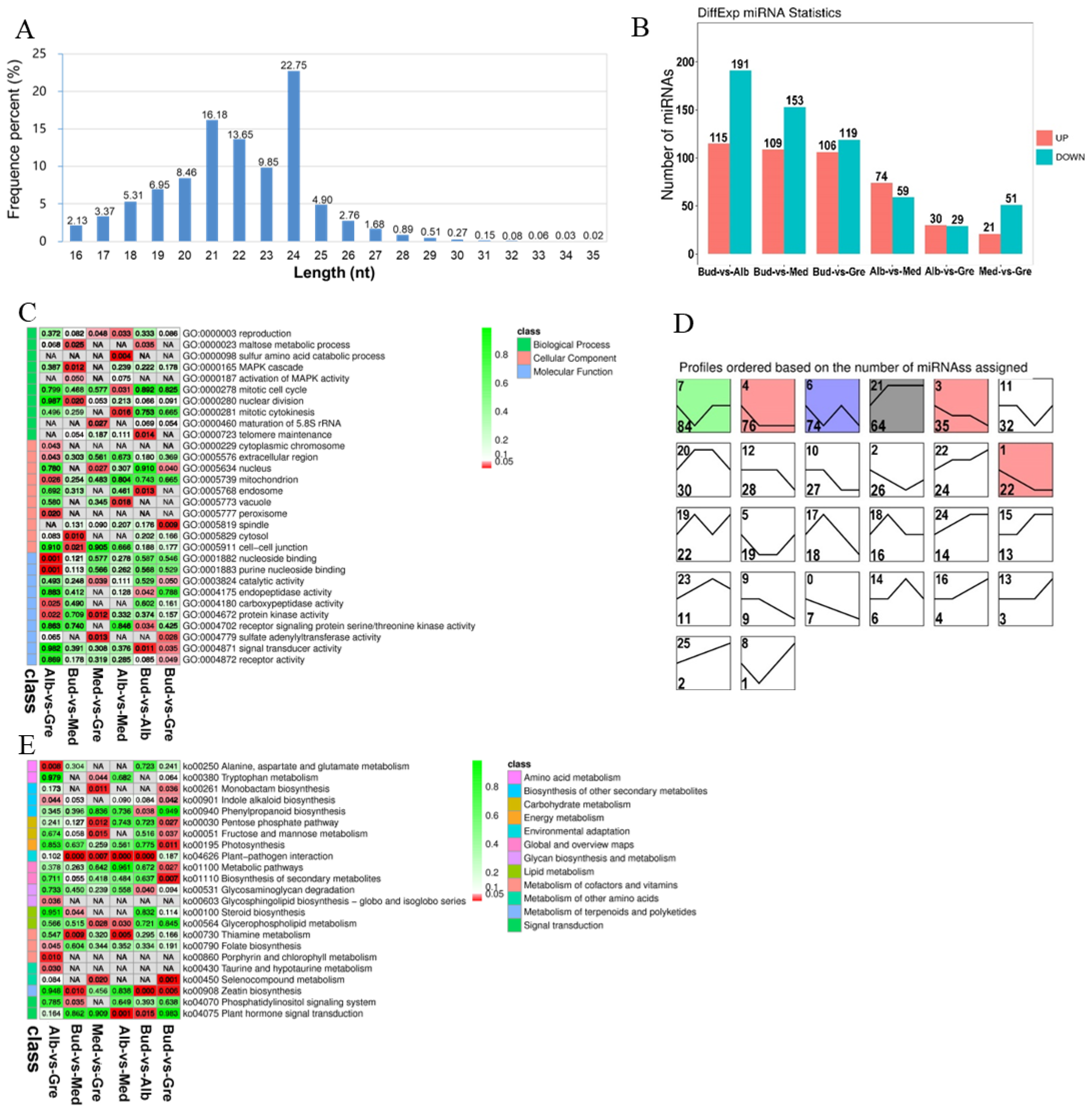 Ijms 24 07162 g005 Ijms 24 07162 g005