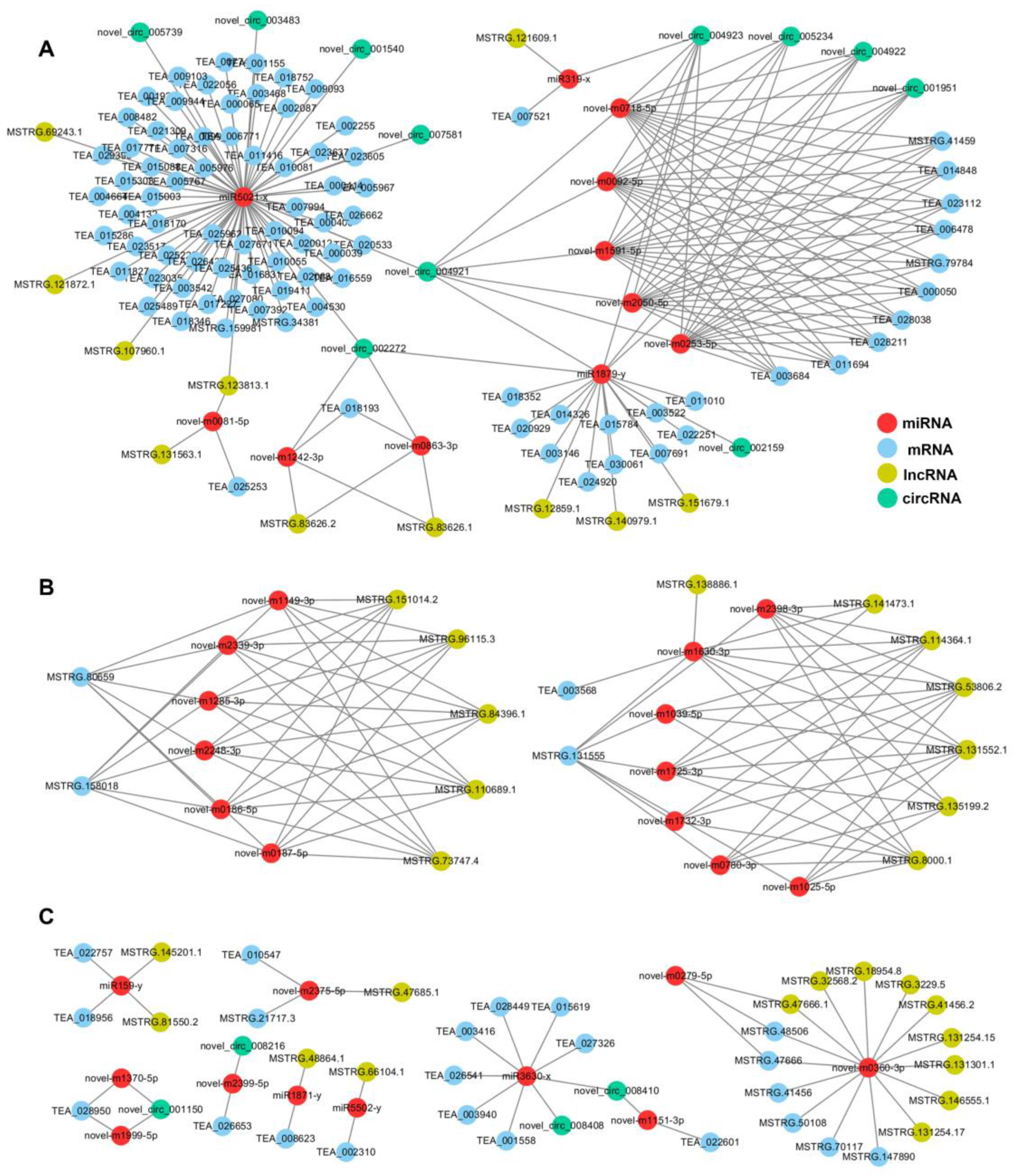 Ijms 24 07162 g006 Ijms 24 07162 g006