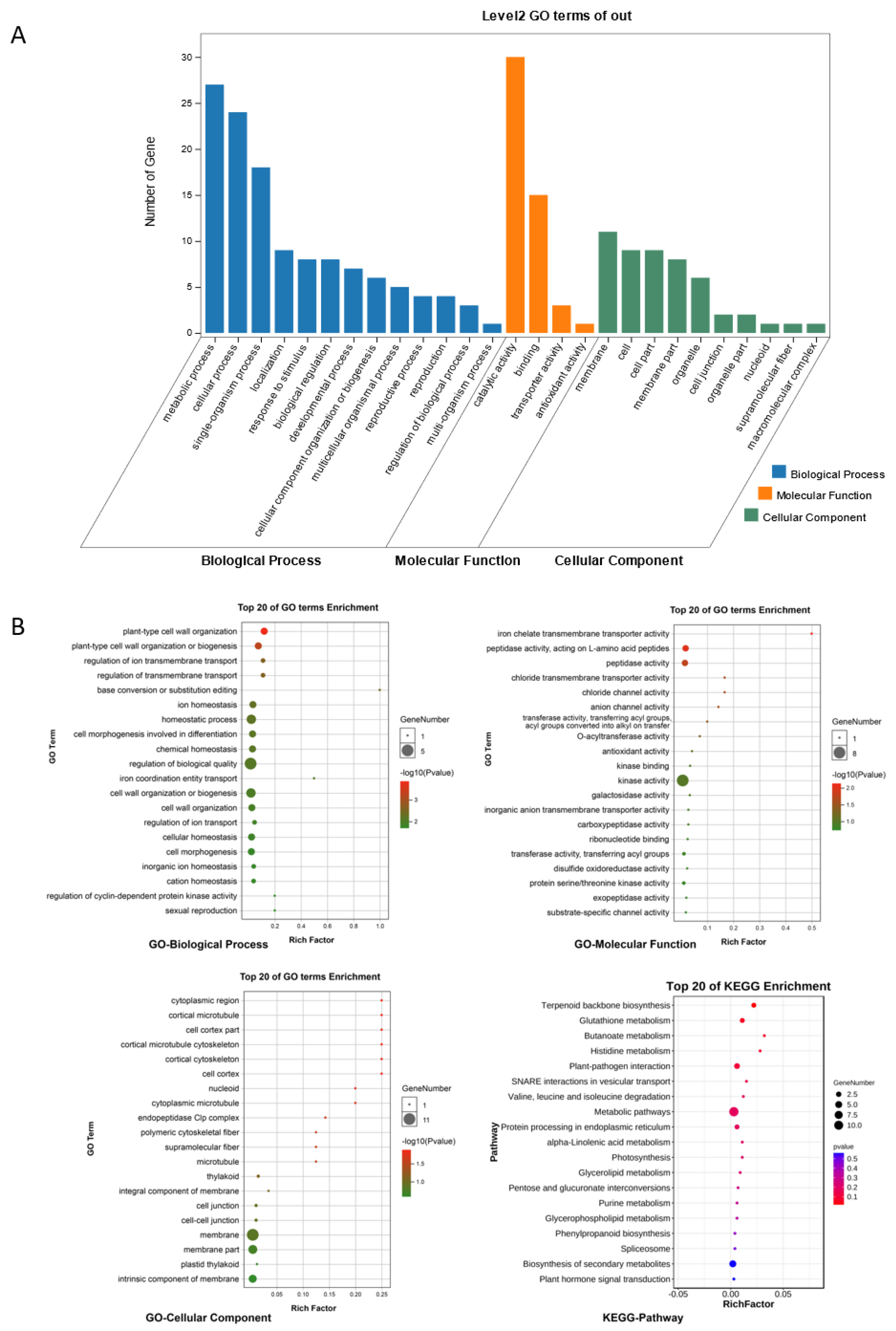 Ijms 24 07162 g007 Ijms 24 07162 g007