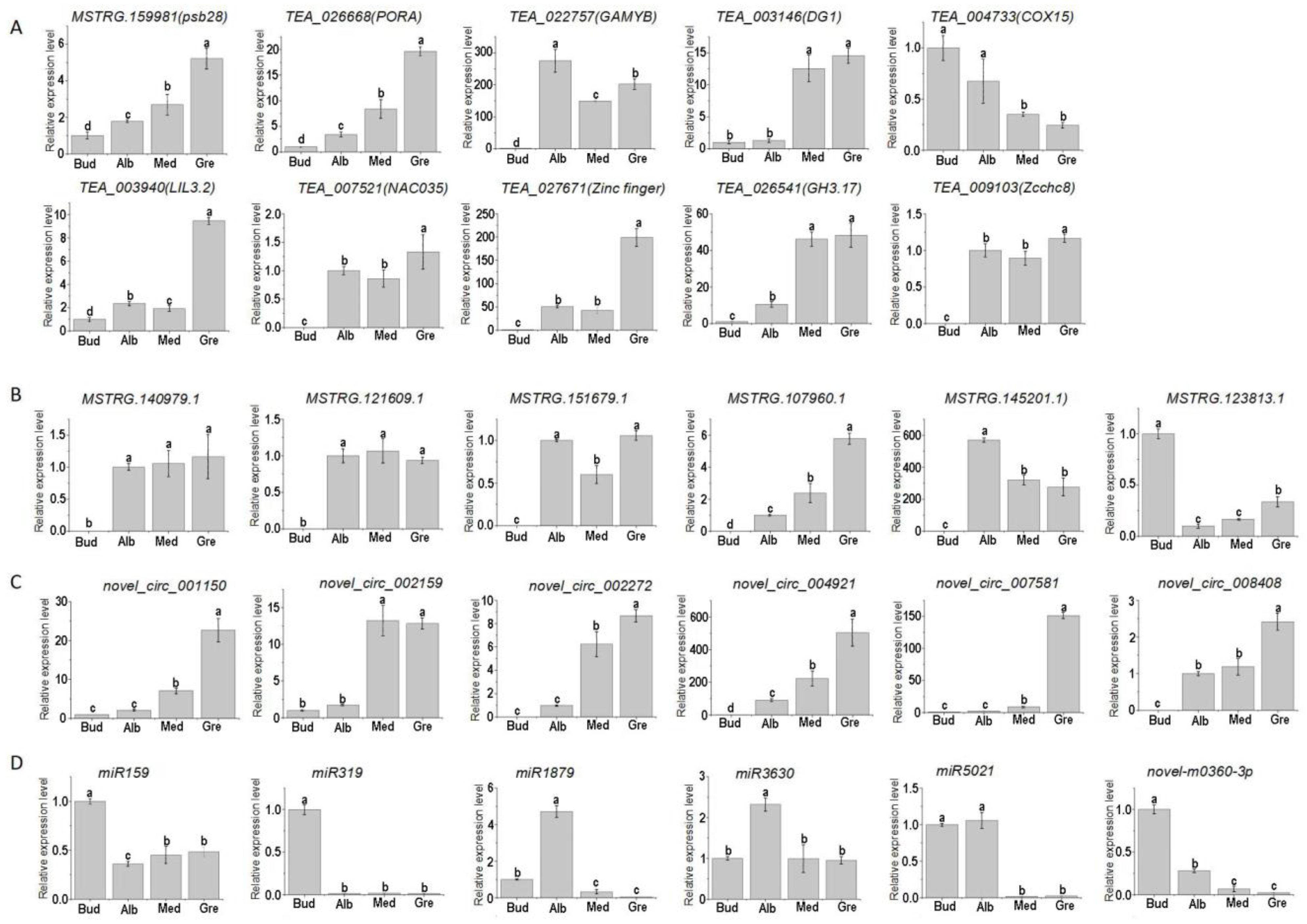 Ijms 24 07162 g008 Ijms 24 07162 g008