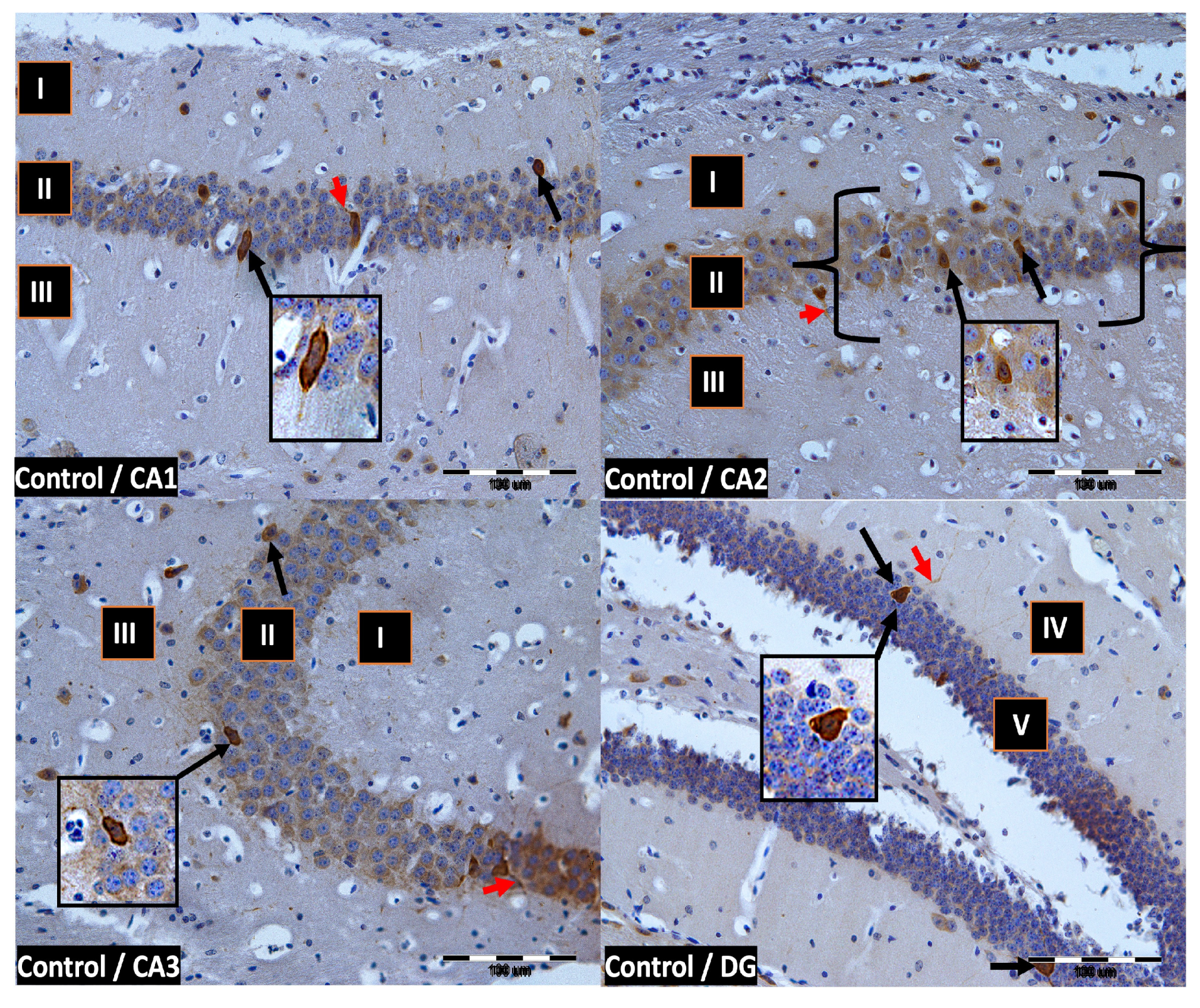 Ijms 24 07166 g002 Ijms 24 07166 g002