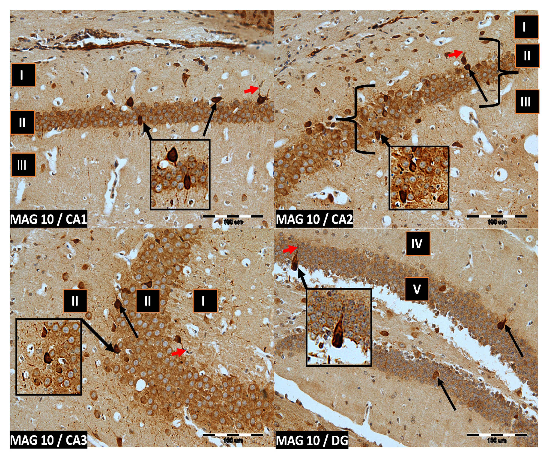 Ijms 24 07166 g003 Ijms 24 07166 g003