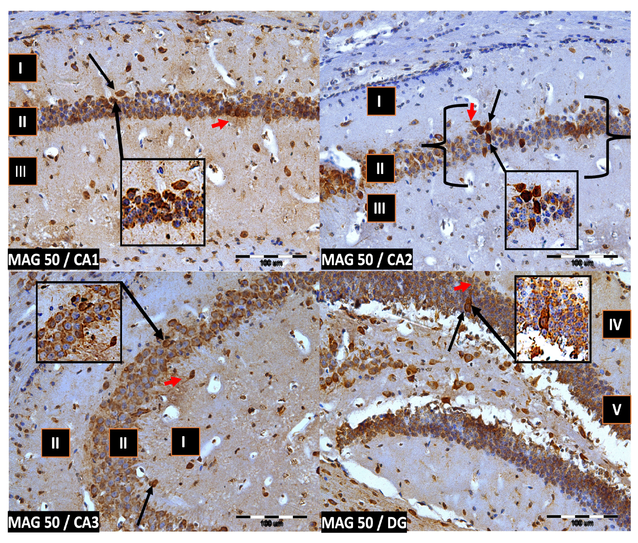 Ijms 24 07166 g005 Ijms 24 07166 g005