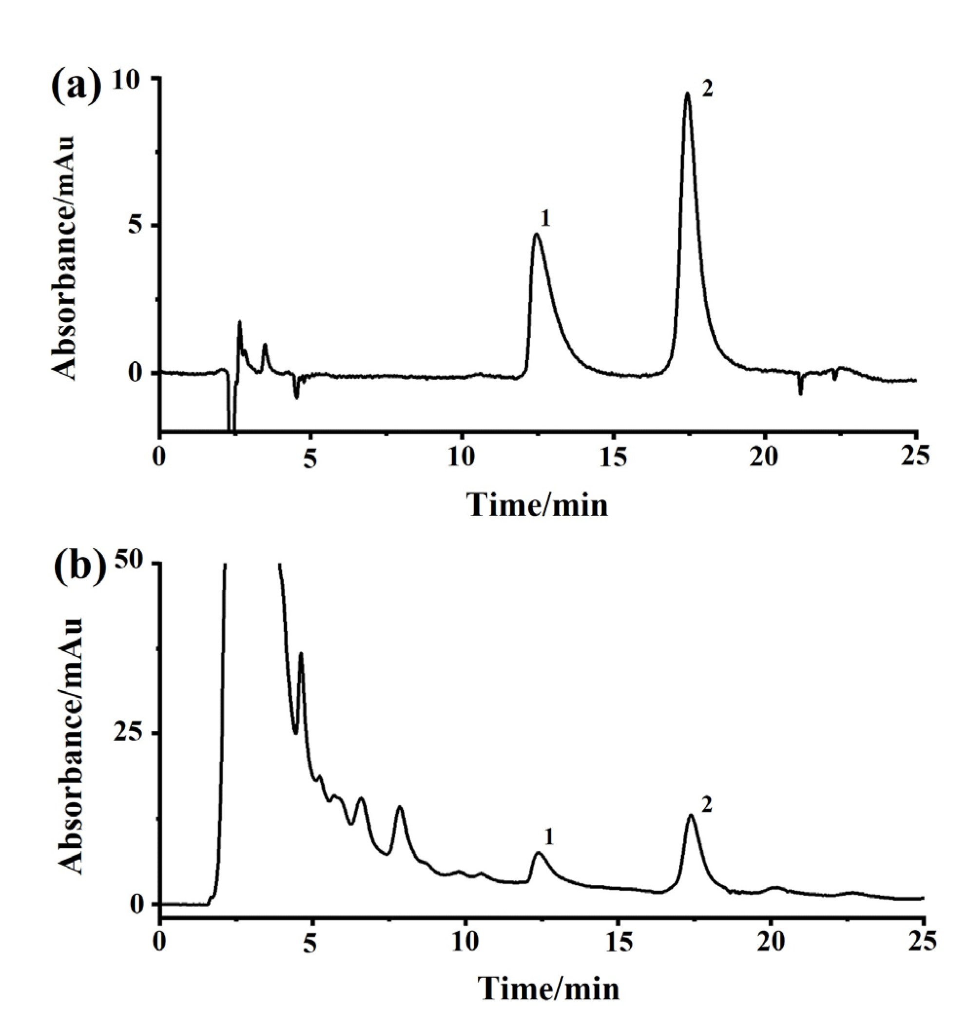 Ijms 24 07171 g009 Ijms 24 07171 g009