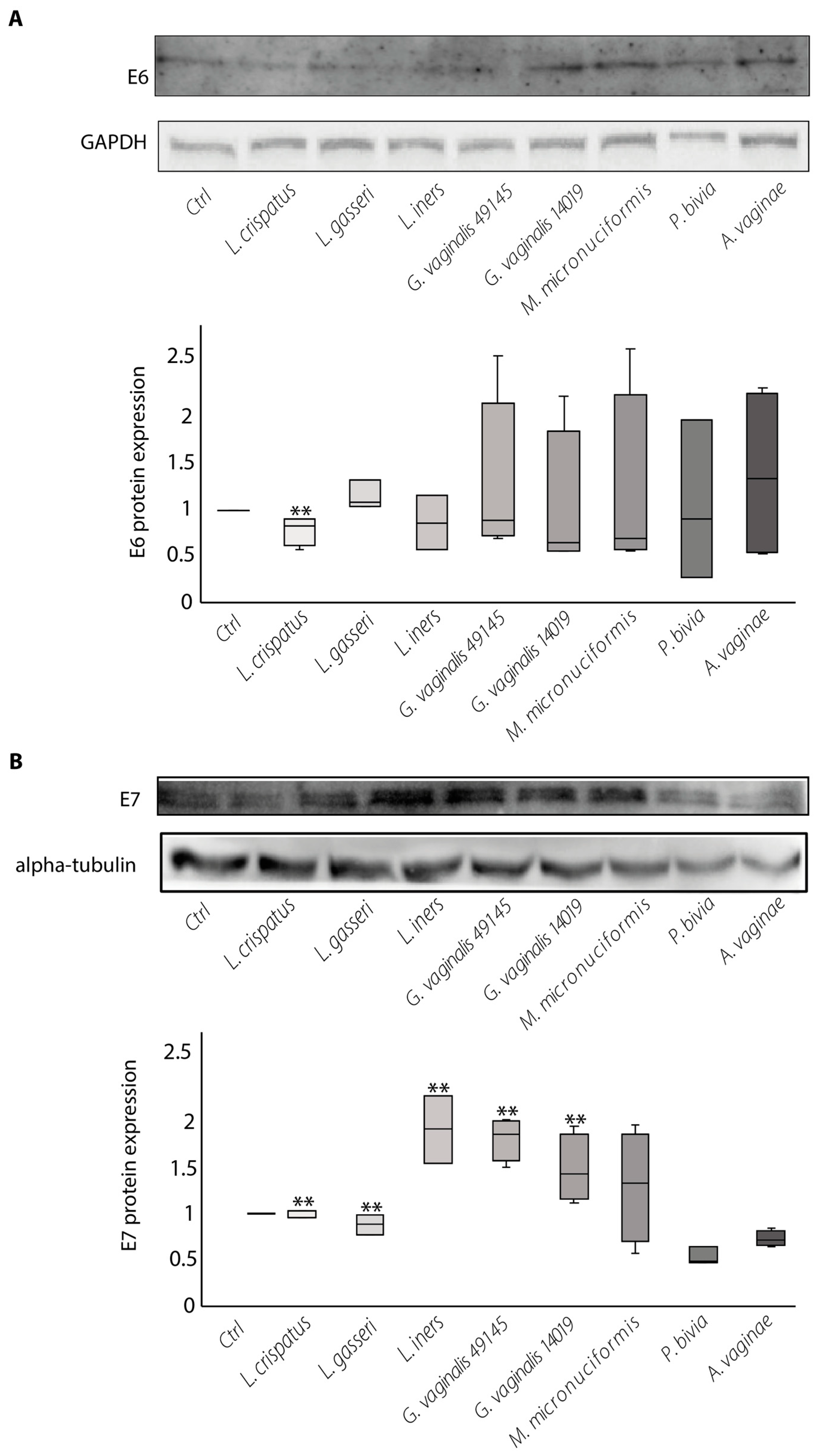 Ijms 24 07173 g002 Ijms 24 07173 g002