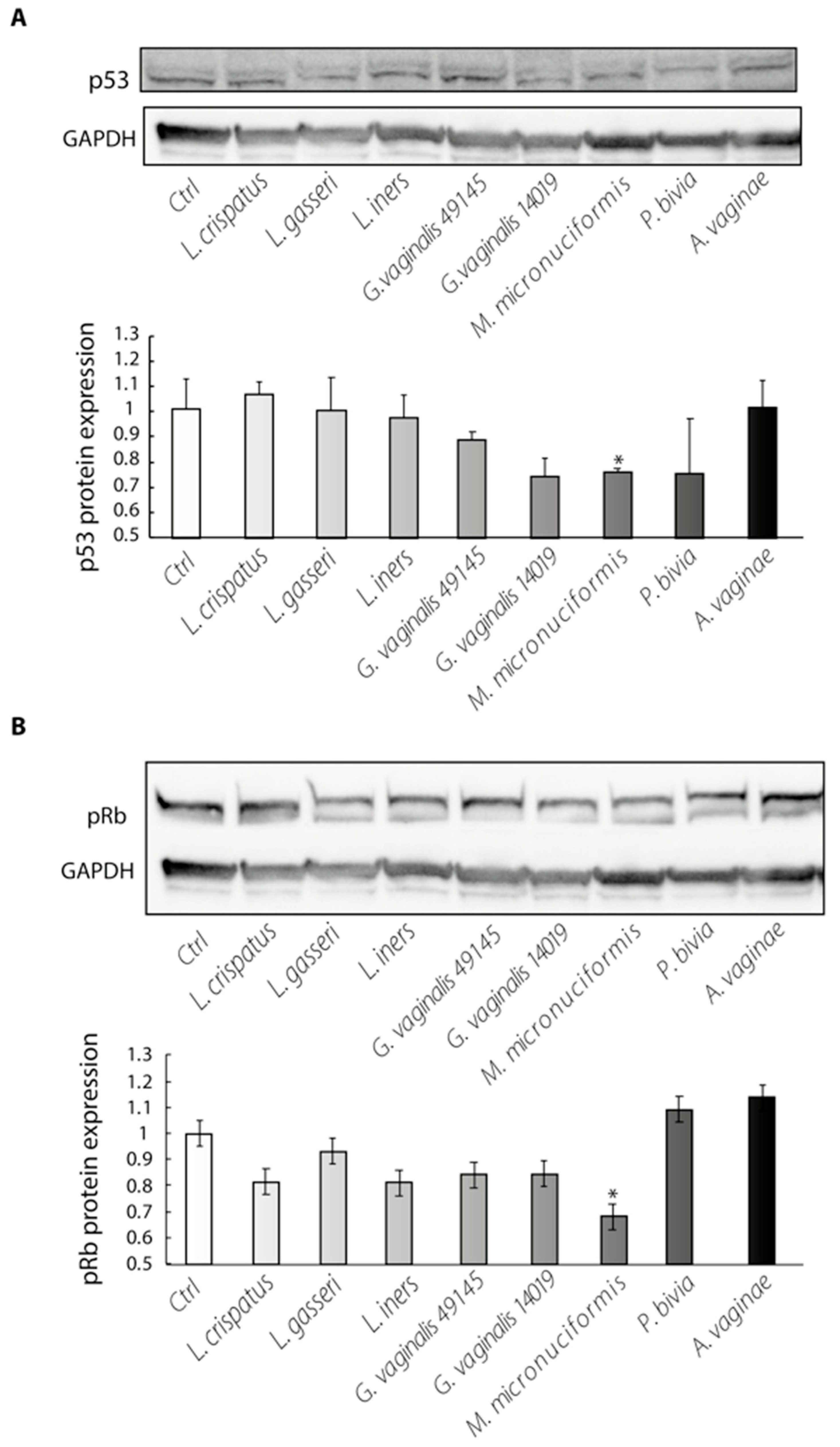 Ijms 24 07173 g003 Ijms 24 07173 g003