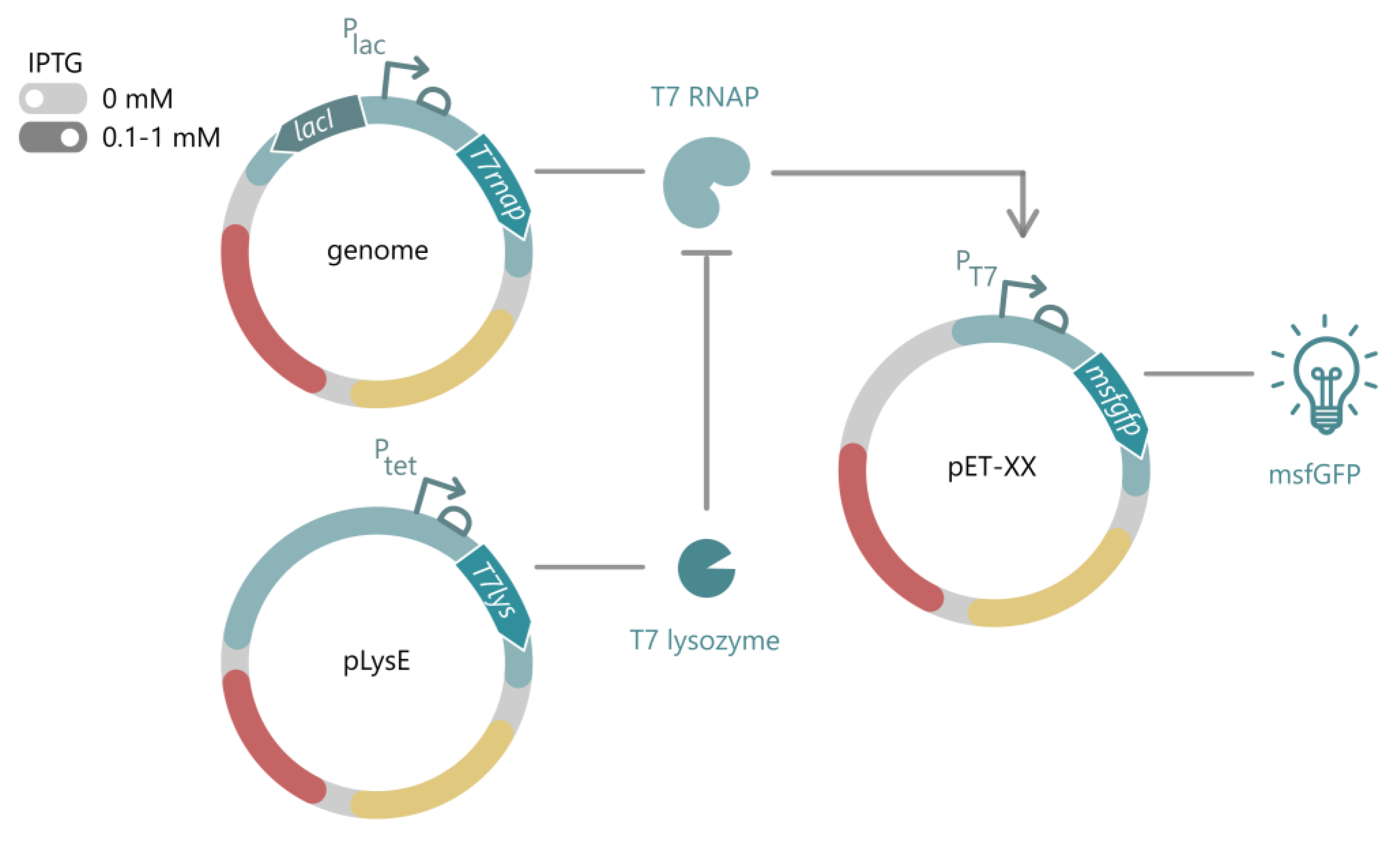 Ijms 24 07175 g001 Ijms 24 07175 g001