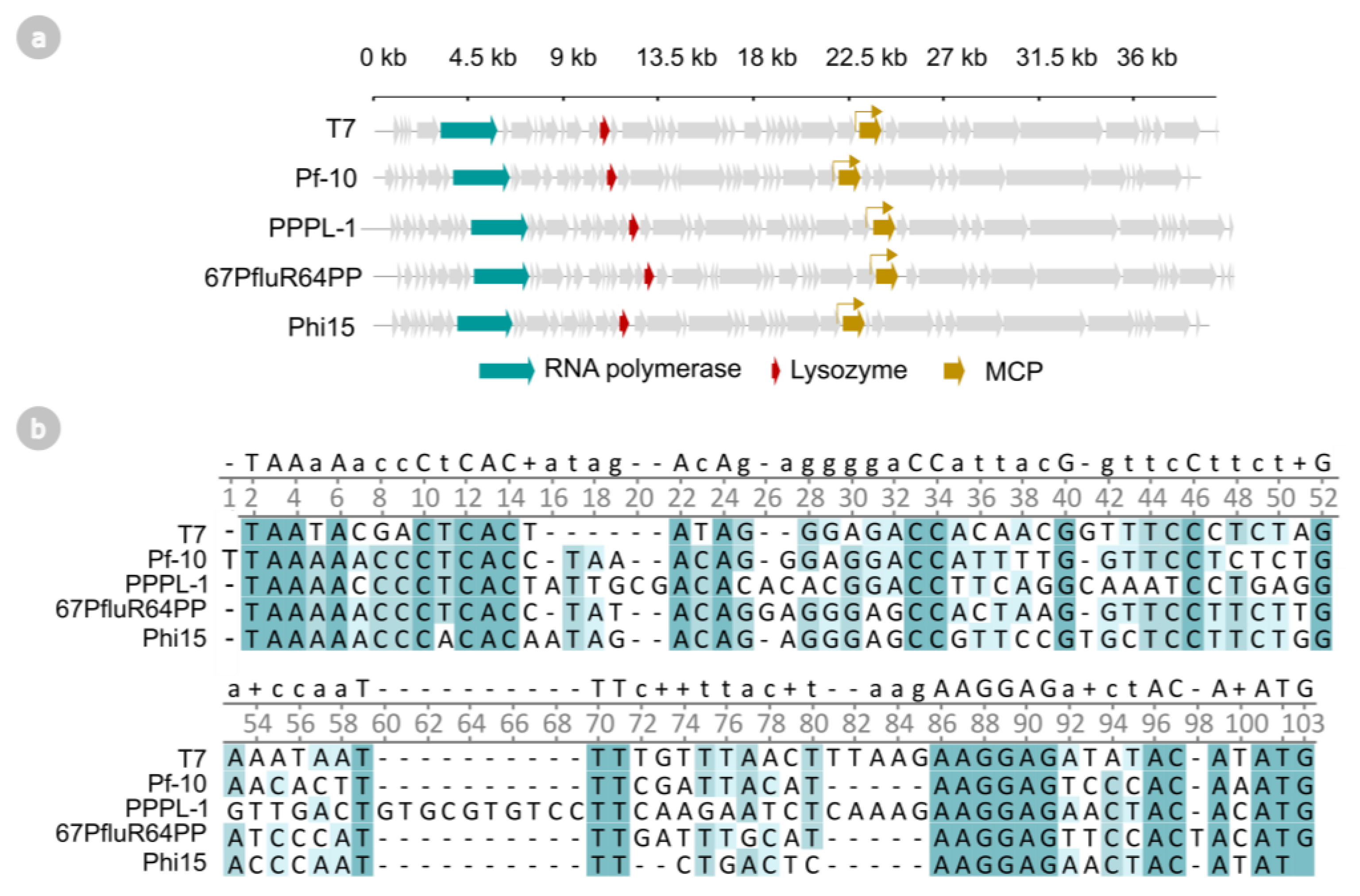 Ijms 24 07175 g002 Ijms 24 07175 g002