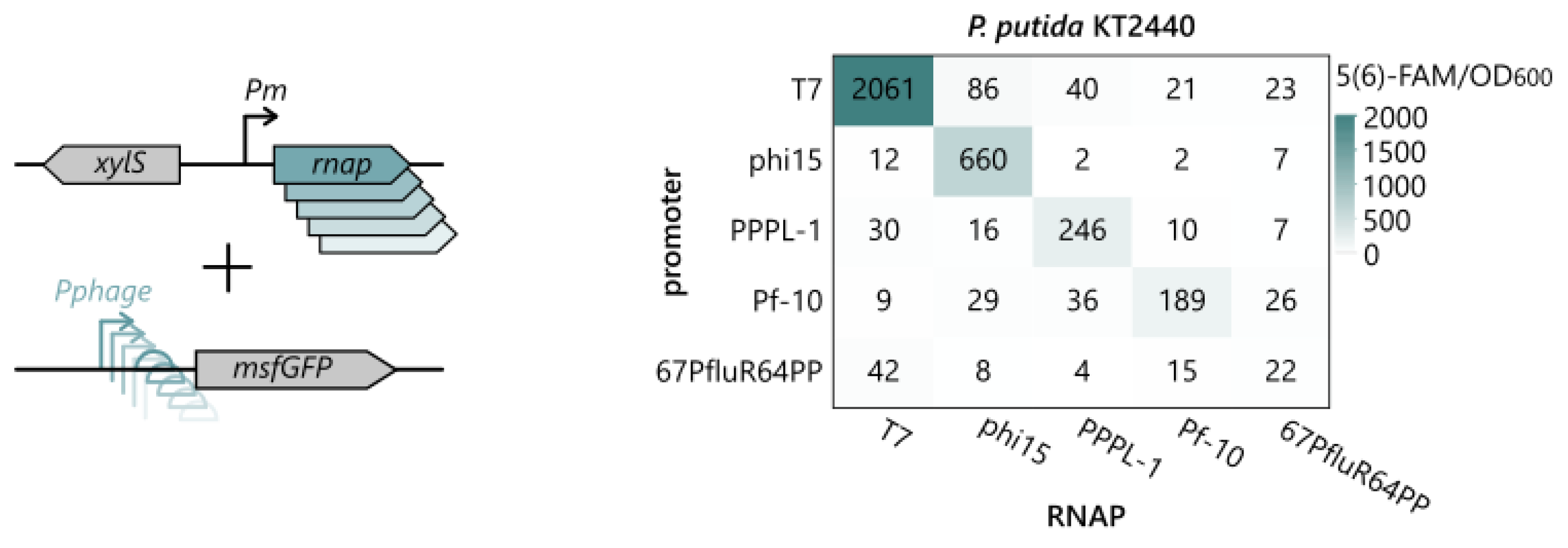 Ijms 24 07175 g004 Ijms 24 07175 g004