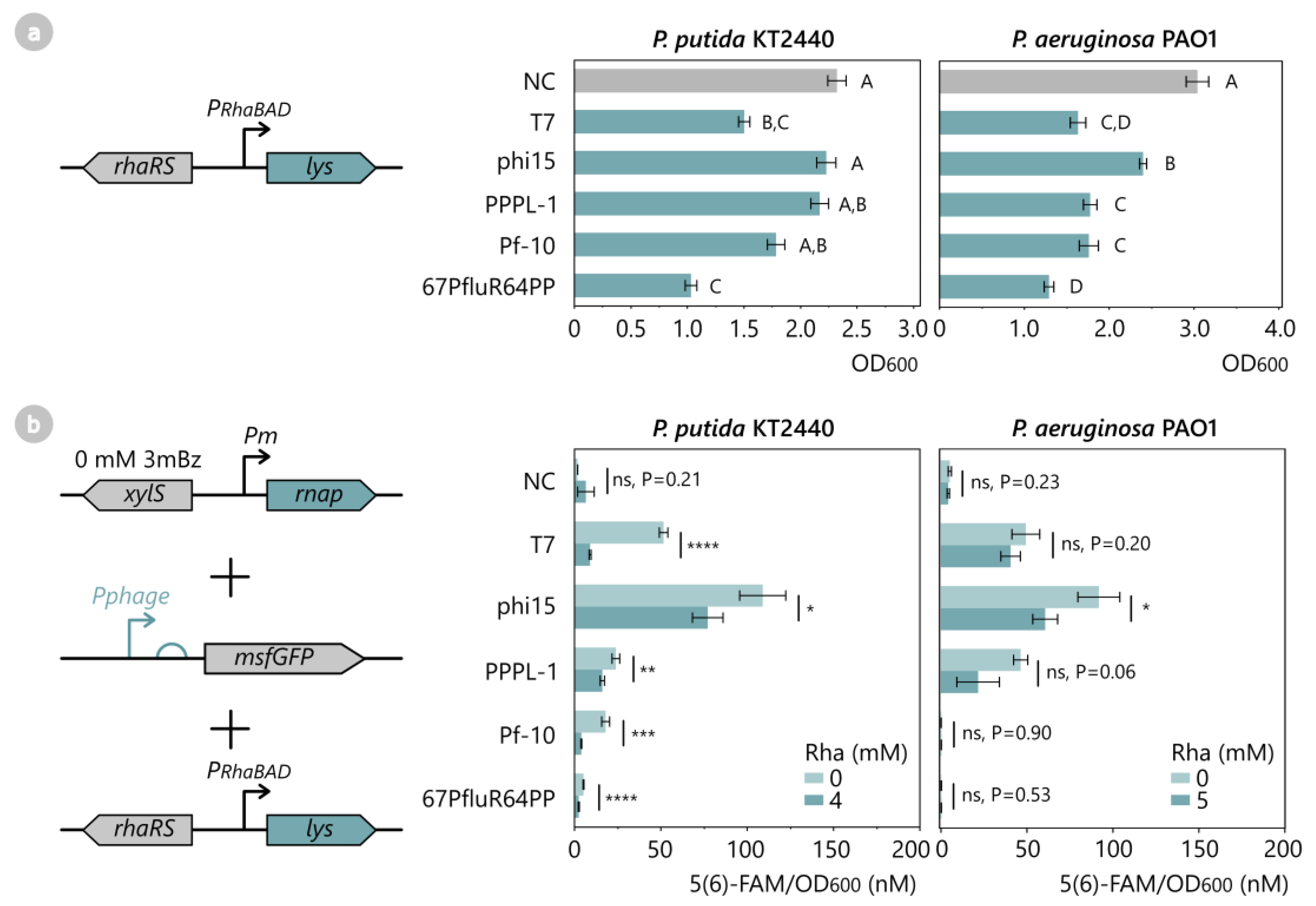 Ijms 24 07175 g006 Ijms 24 07175 g006
