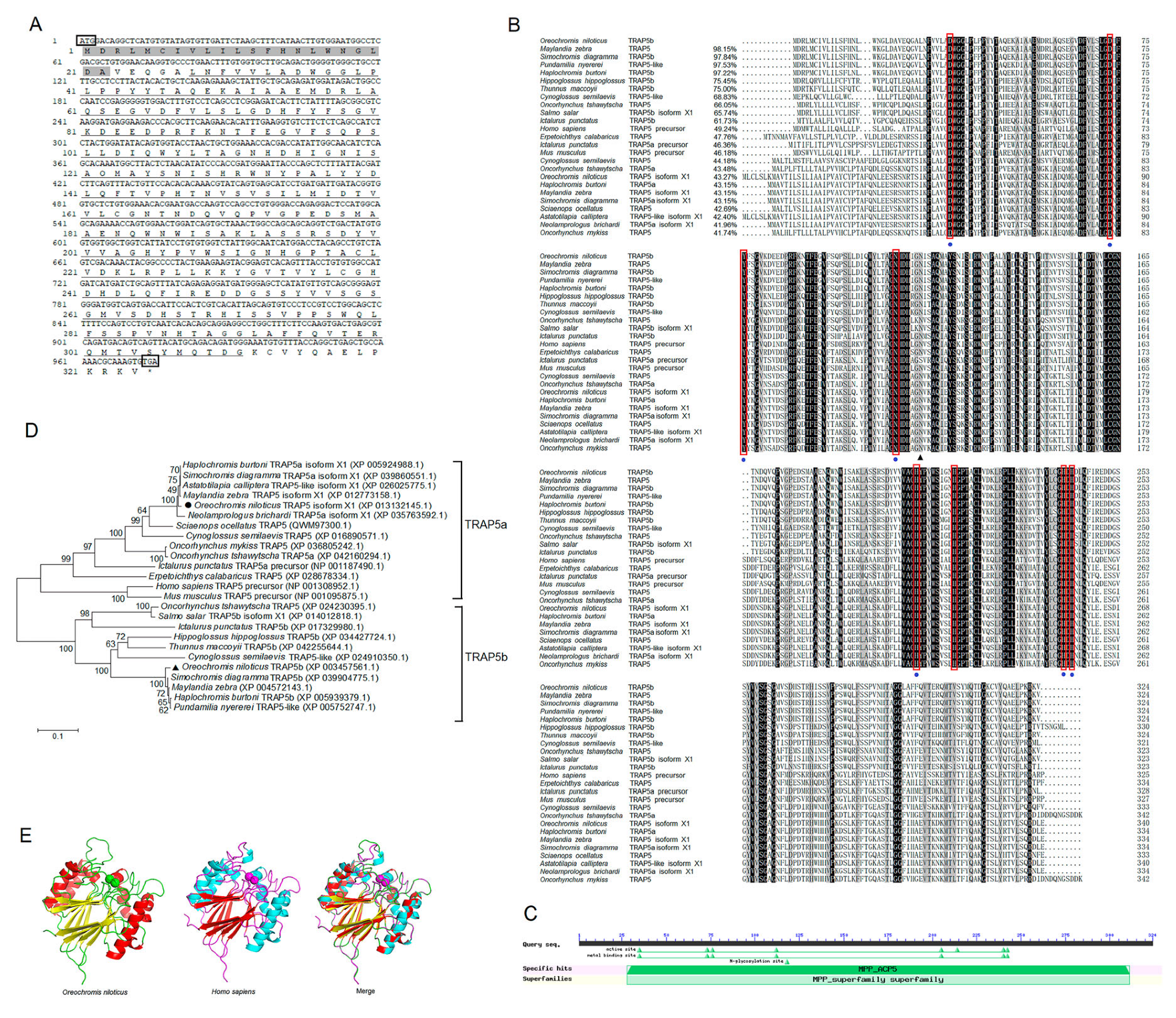 Ijms 24 07179 g001 Ijms 24 07179 g001