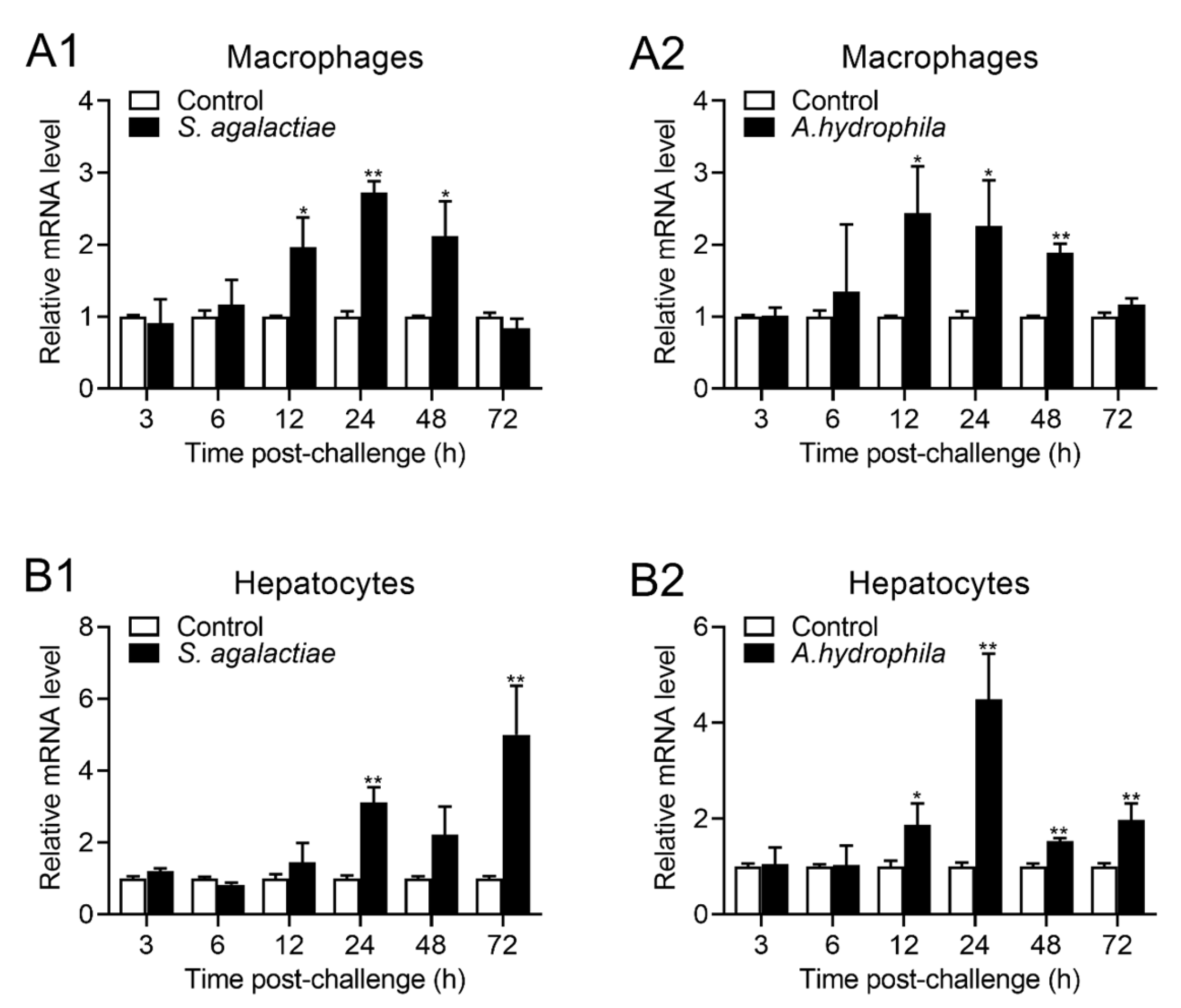 Ijms 24 07179 g004 Ijms 24 07179 g004
