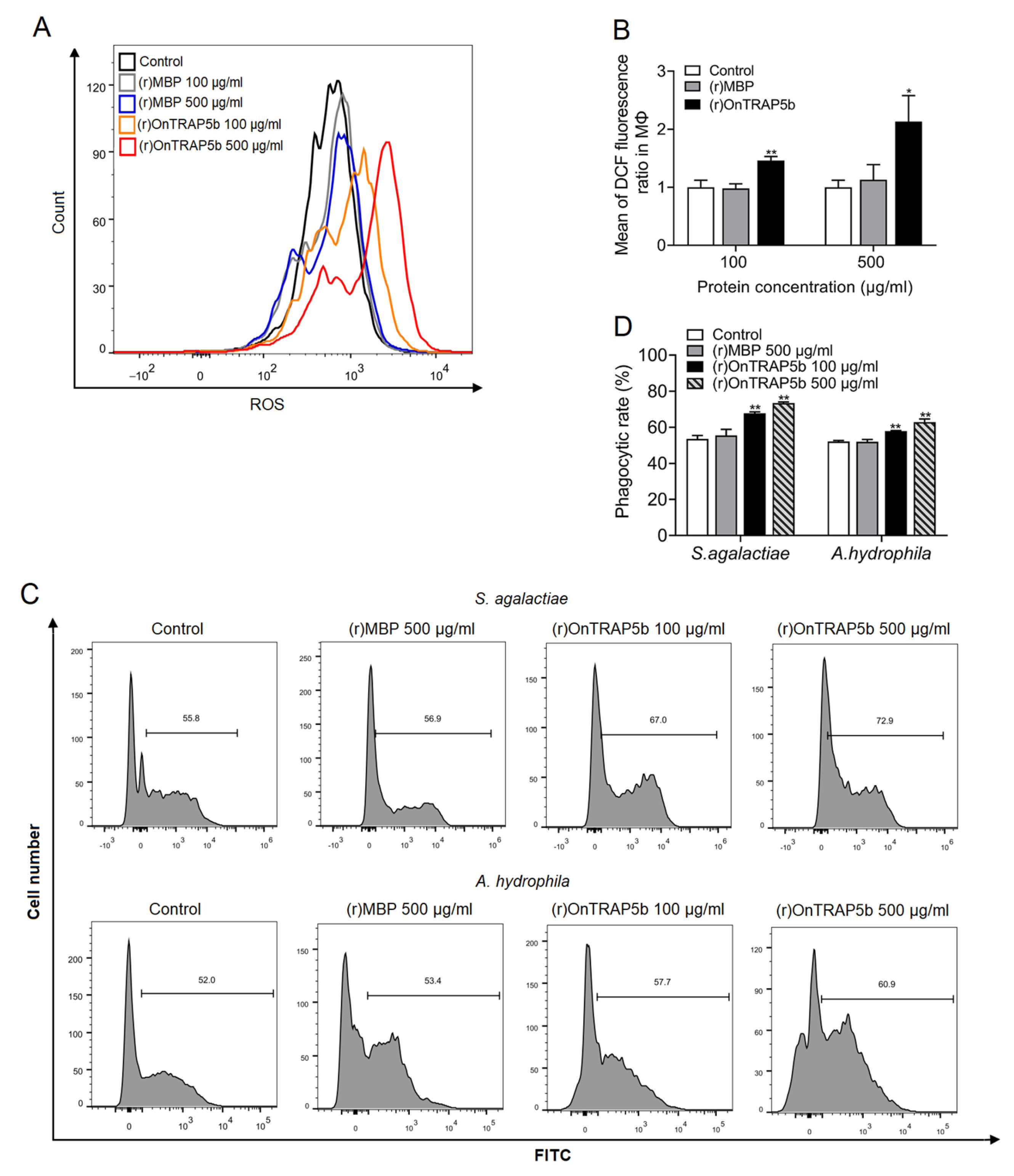 Ijms 24 07179 g008 Ijms 24 07179 g008