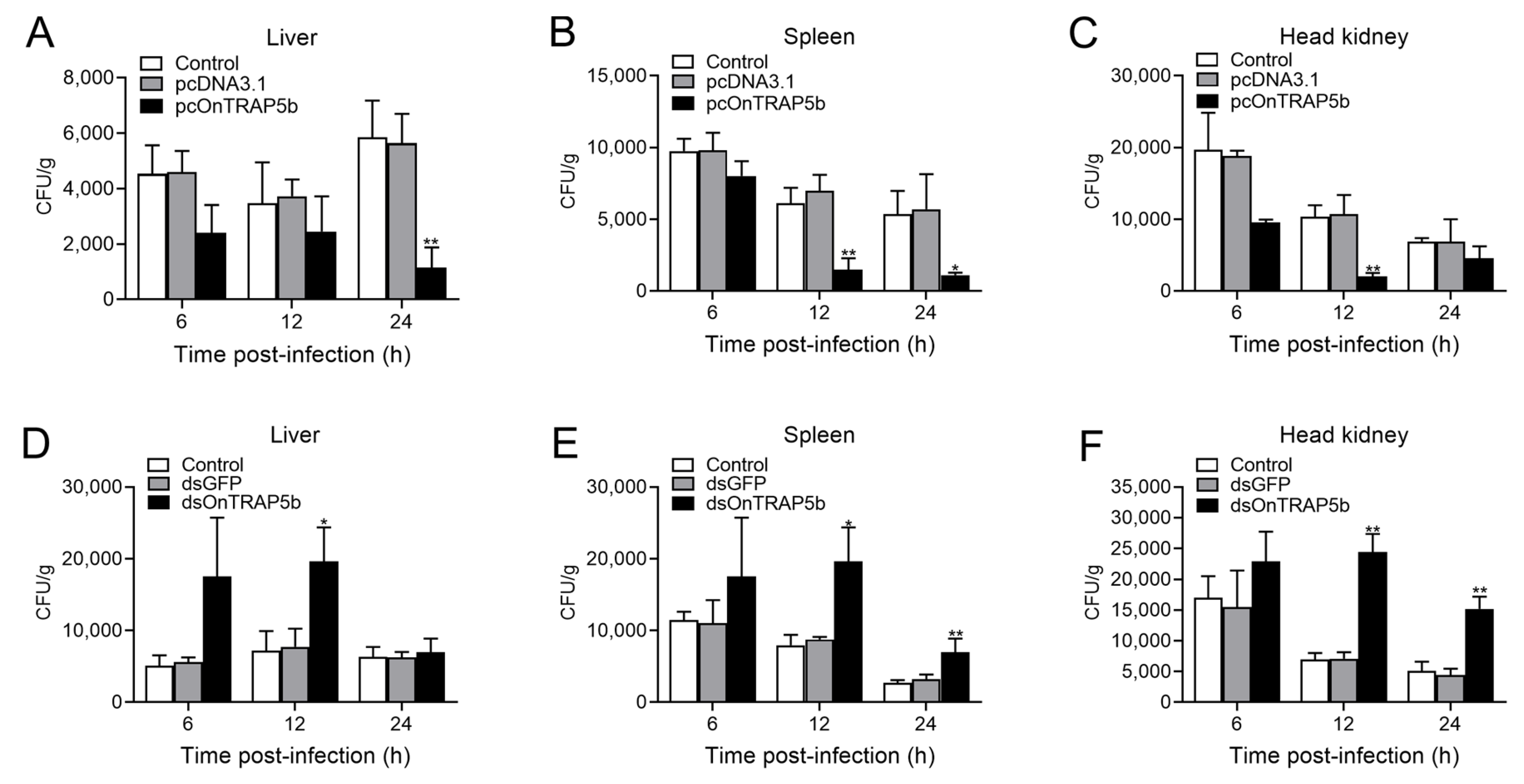 Ijms 24 07179 g009 Ijms 24 07179 g009