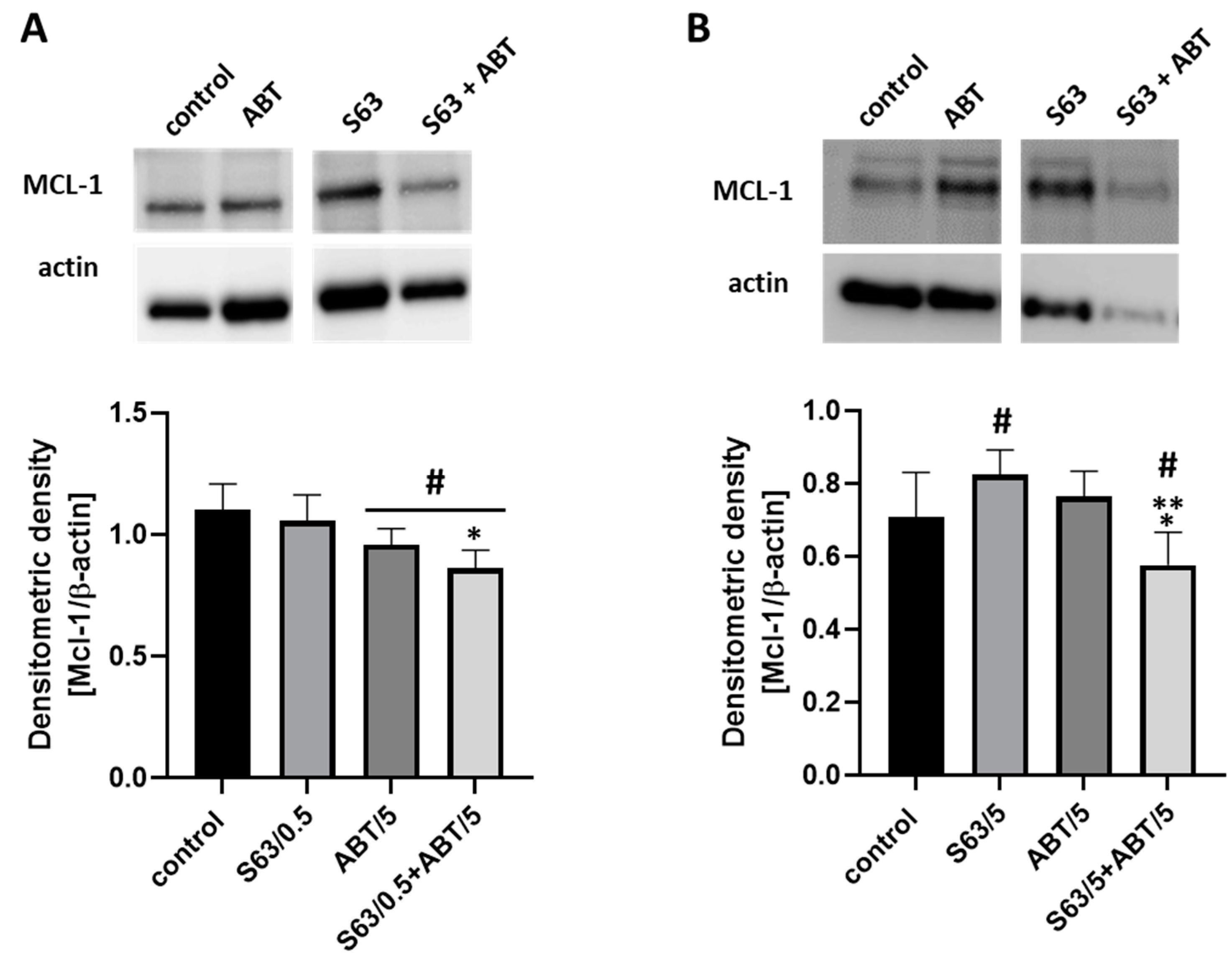 Ijms 24 07180 g006 Ijms 24 07180 g006