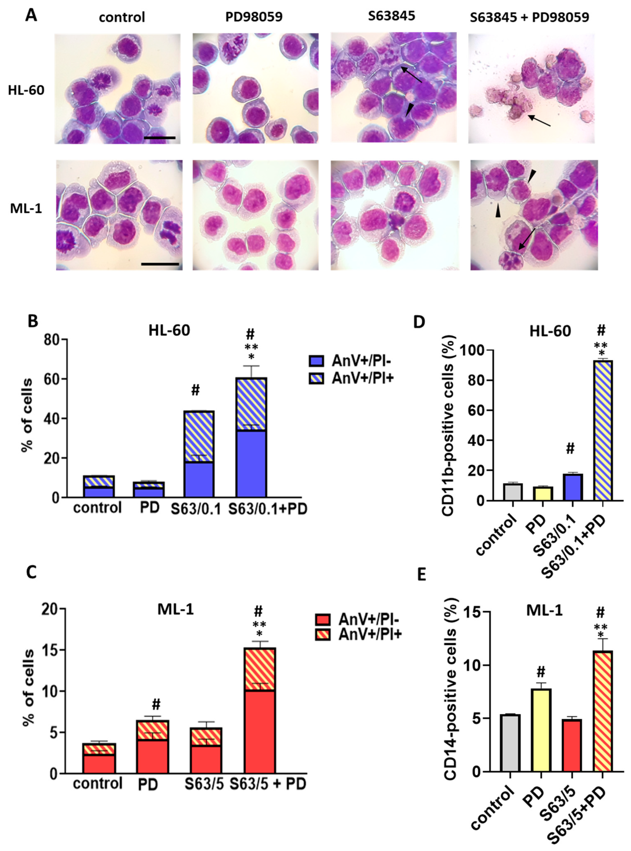 Ijms 24 07180 g008 Ijms 24 07180 g008