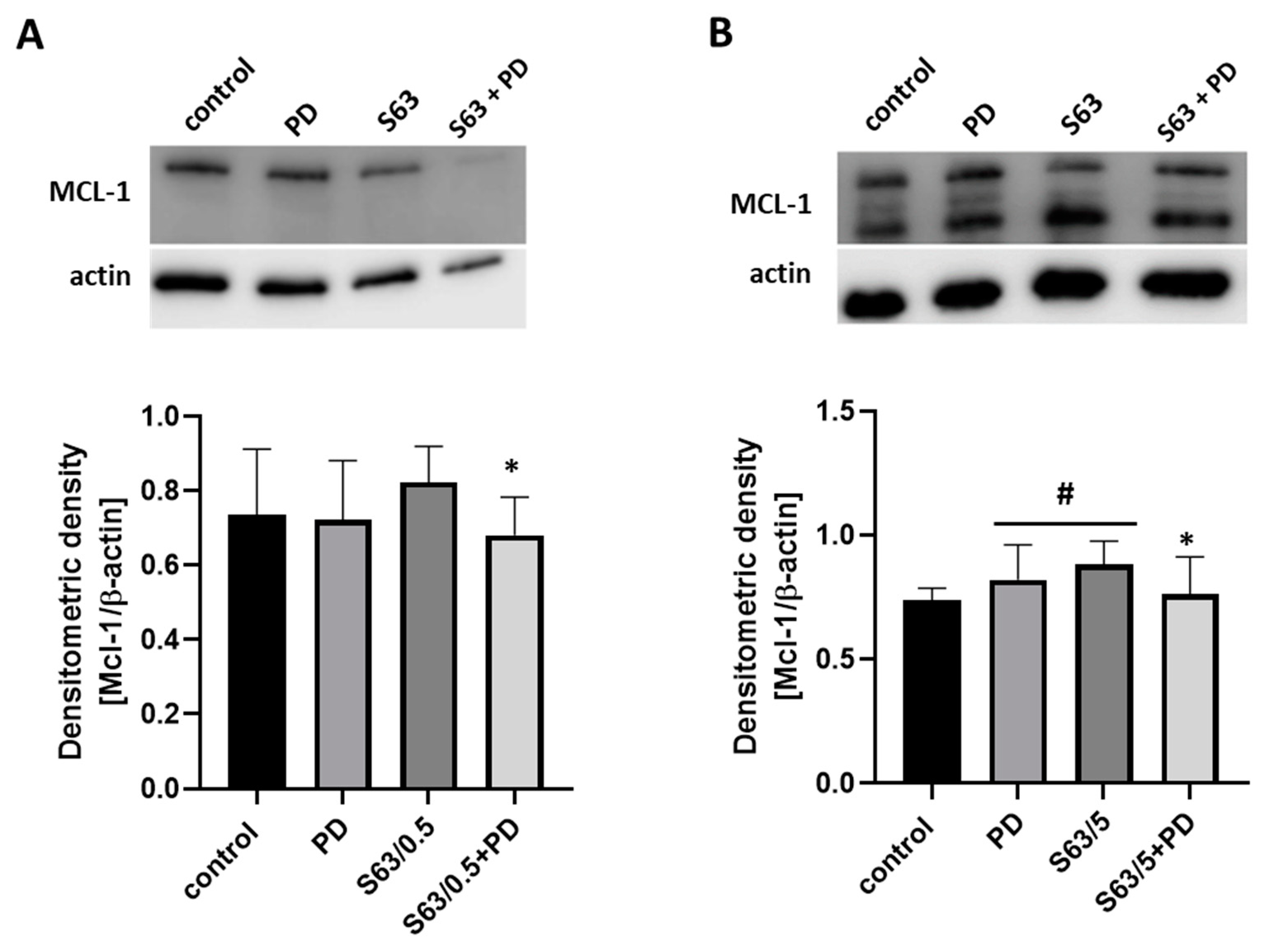 Ijms 24 07180 g009 Ijms 24 07180 g009