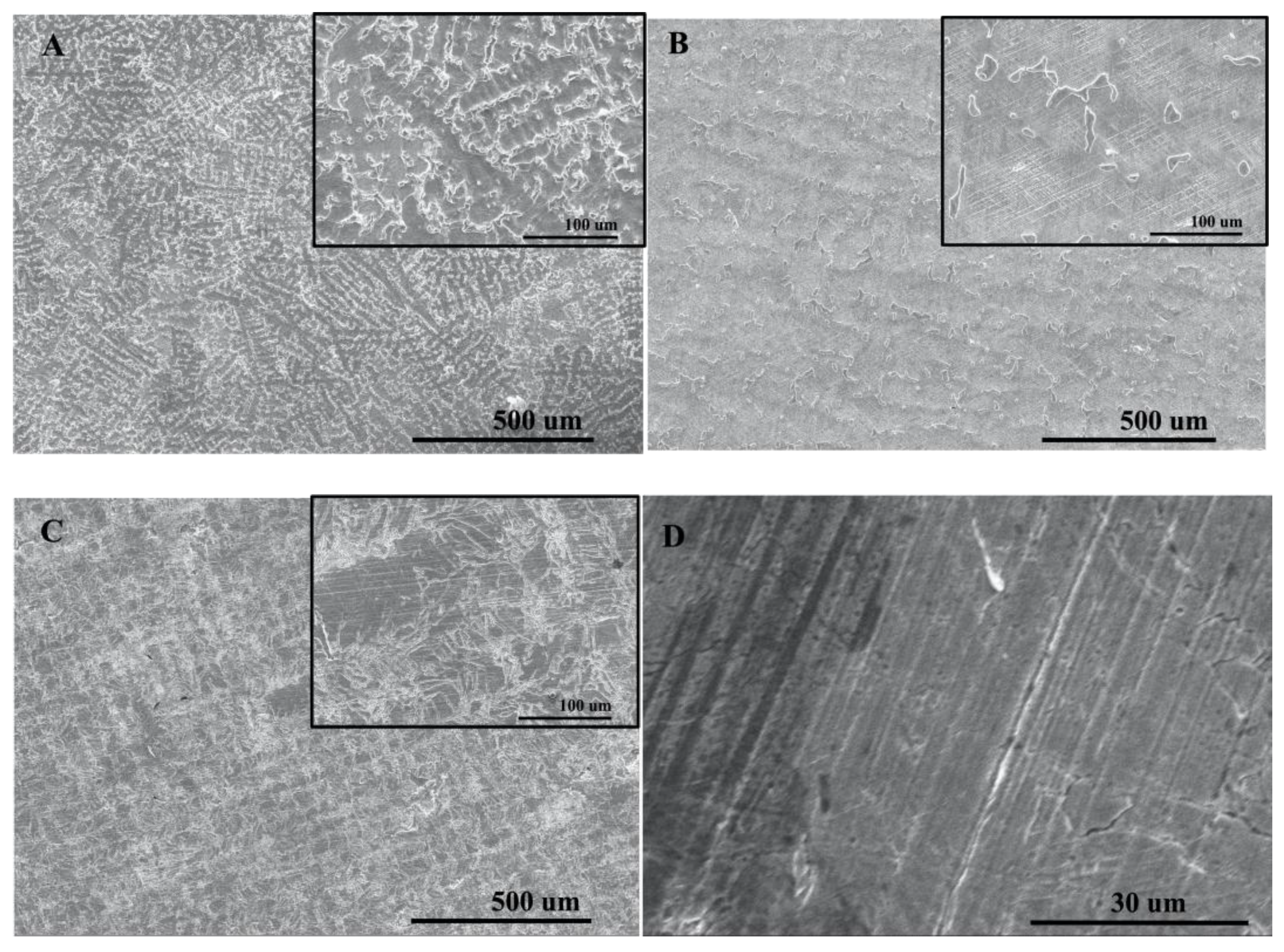 Ijms 24 07203 g007 Ijms 24 07203 g007